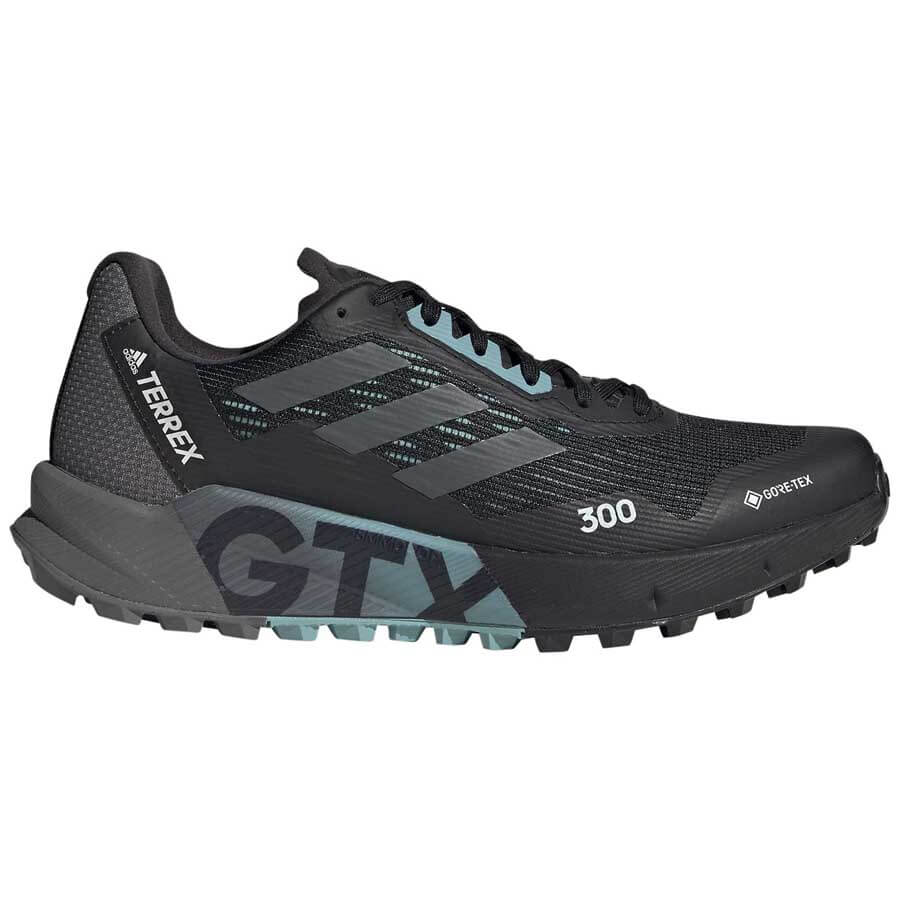 Adidas Terrex Agravic Flow Gore-Tex Women's Running Shoes