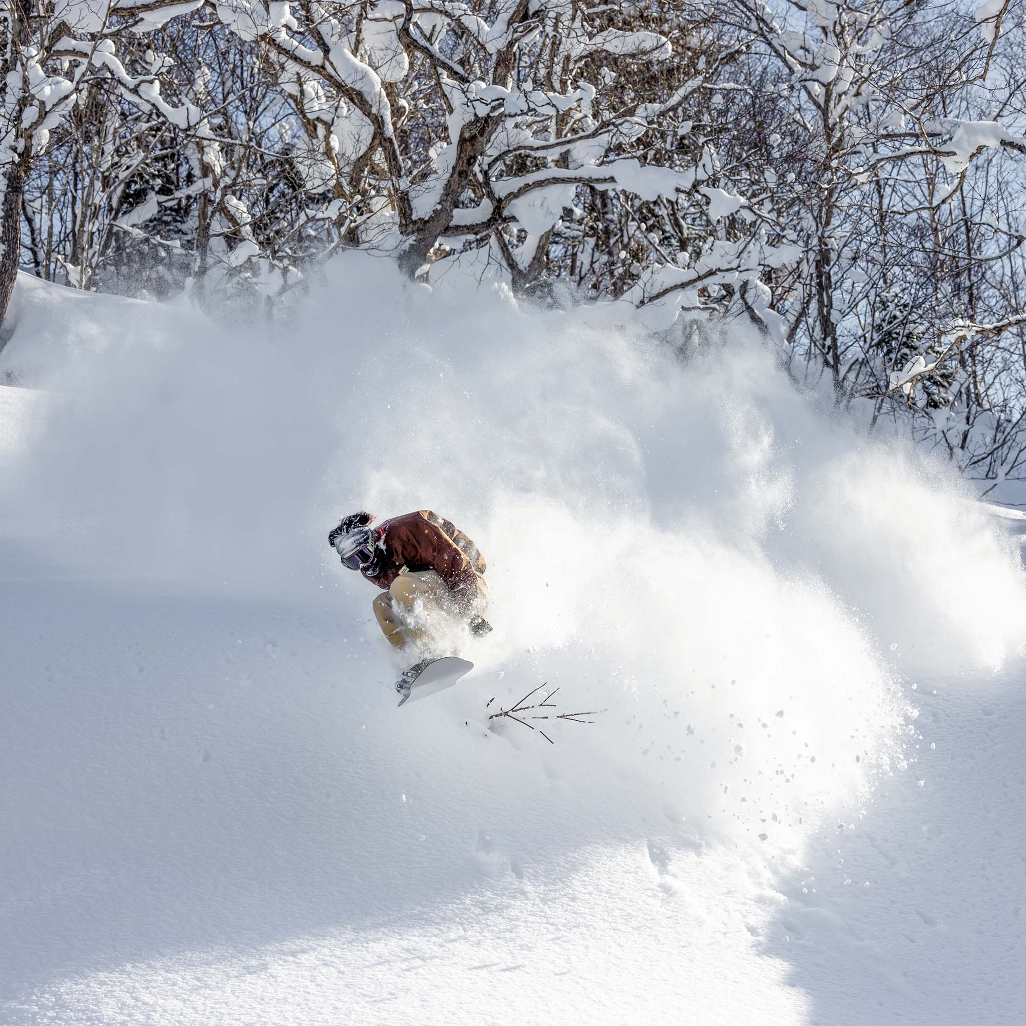 Bataleon Cameleon All Mountain/Freeride Snowboard