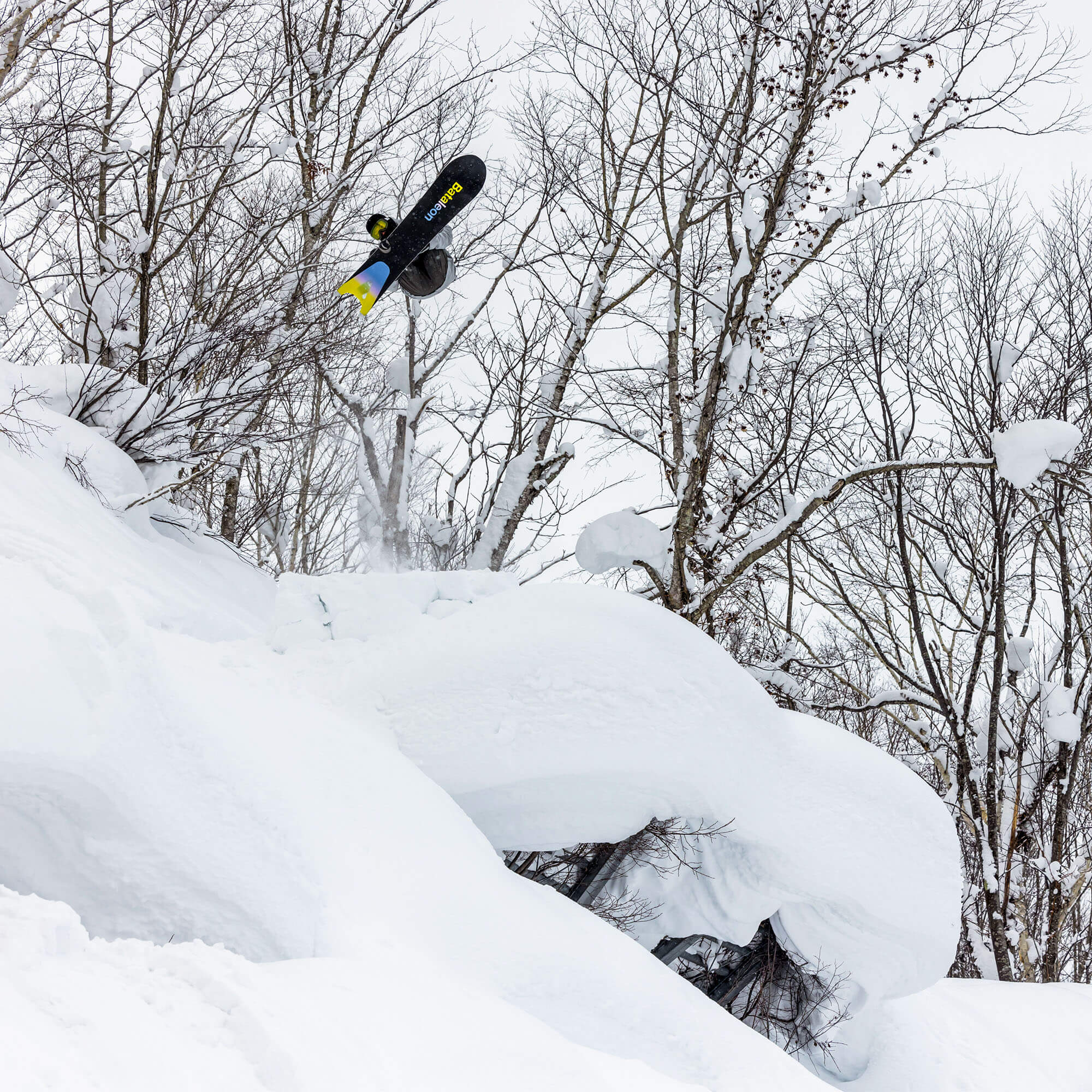 Bataleon The Surfer Powder/Freeride Snowboard