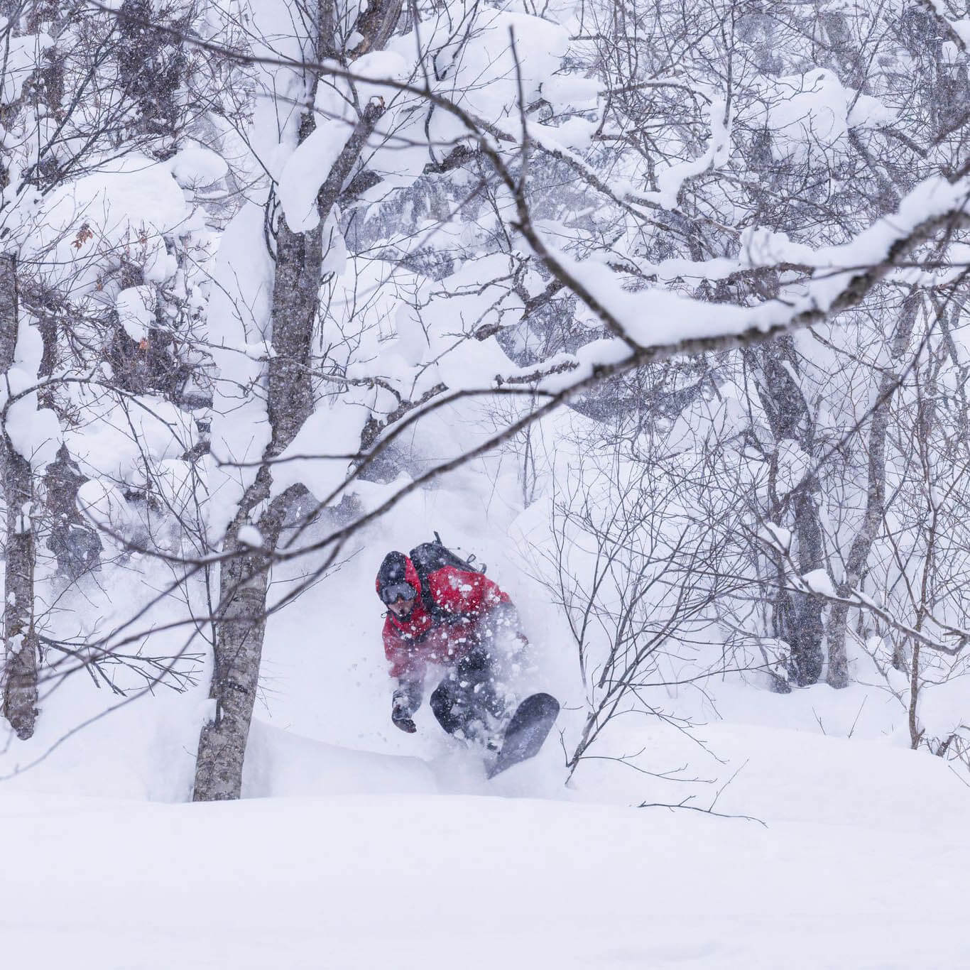 Bataleon Thunderstorm Freeride Snowboard