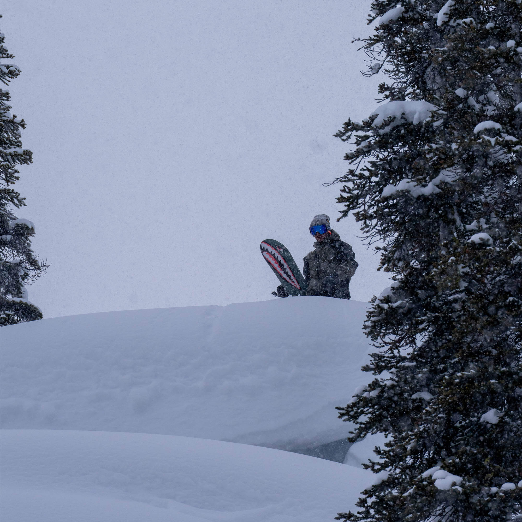 Bataleon Tornado Beyond Medals All Mountain Snowboard