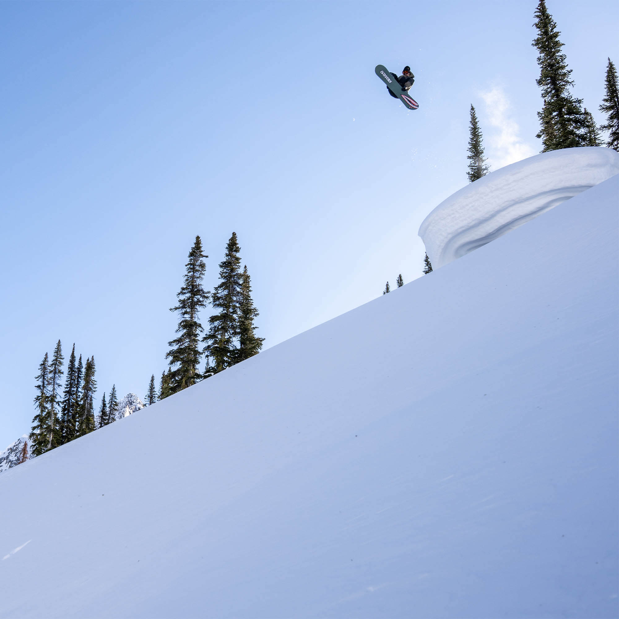 Bataleon Tornado Beyond Medals All Mountain Snowboard