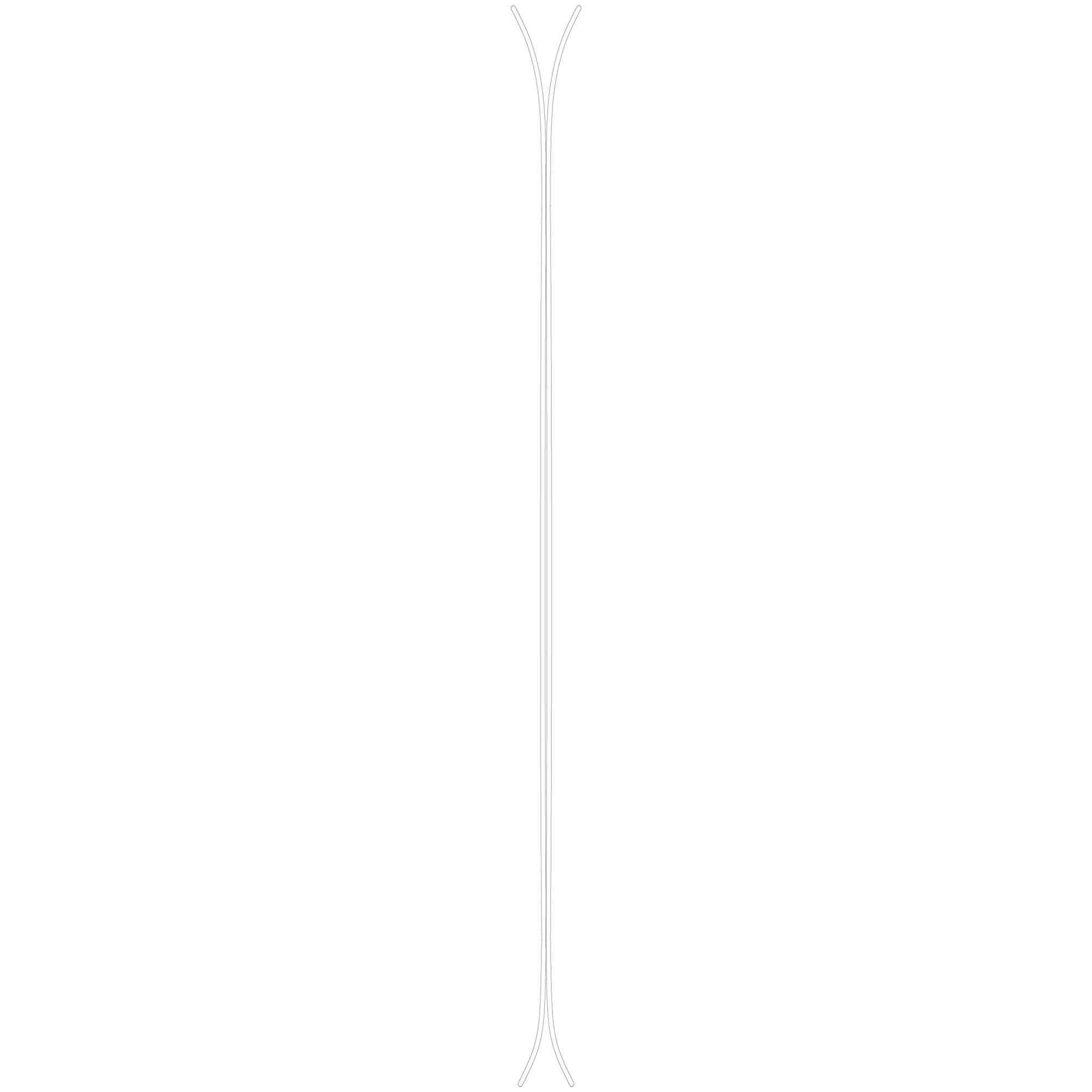 Black Crows Camox Skis