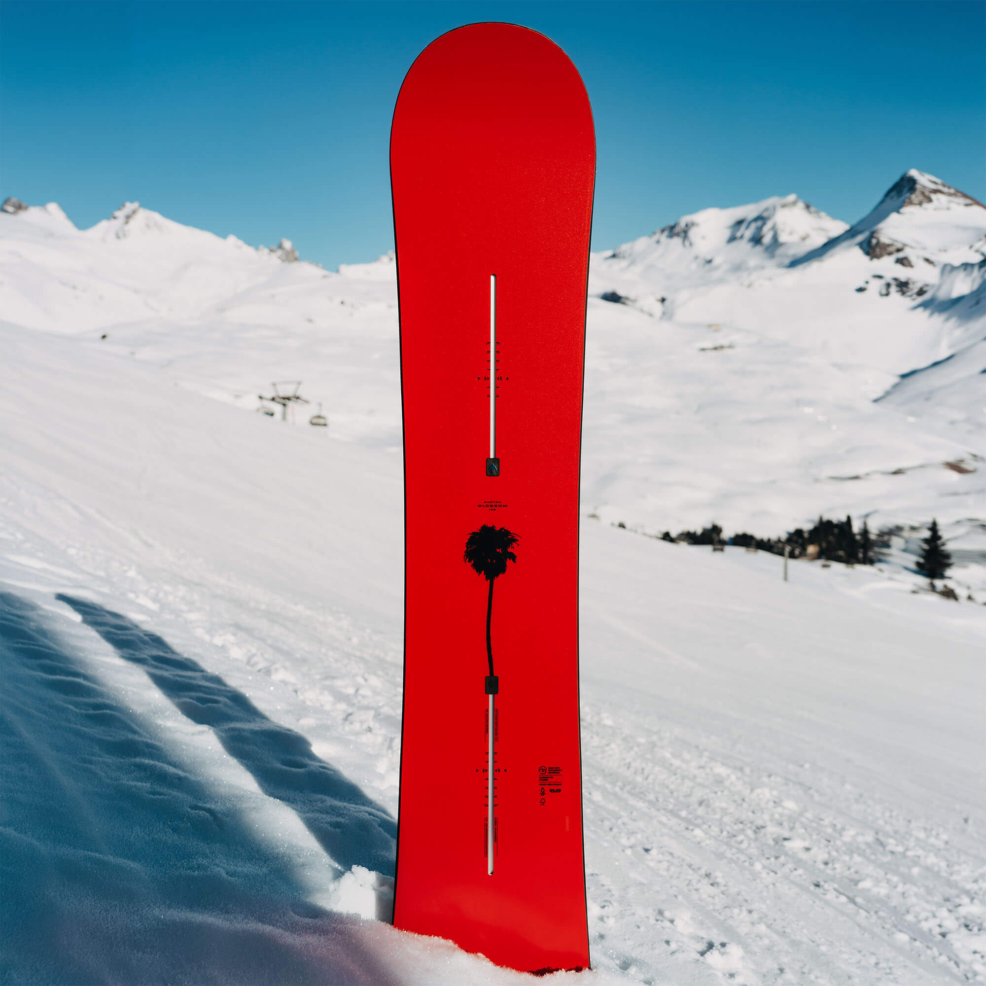 Burton Blossom Camber All Mountain/Freestyle Snowboard
