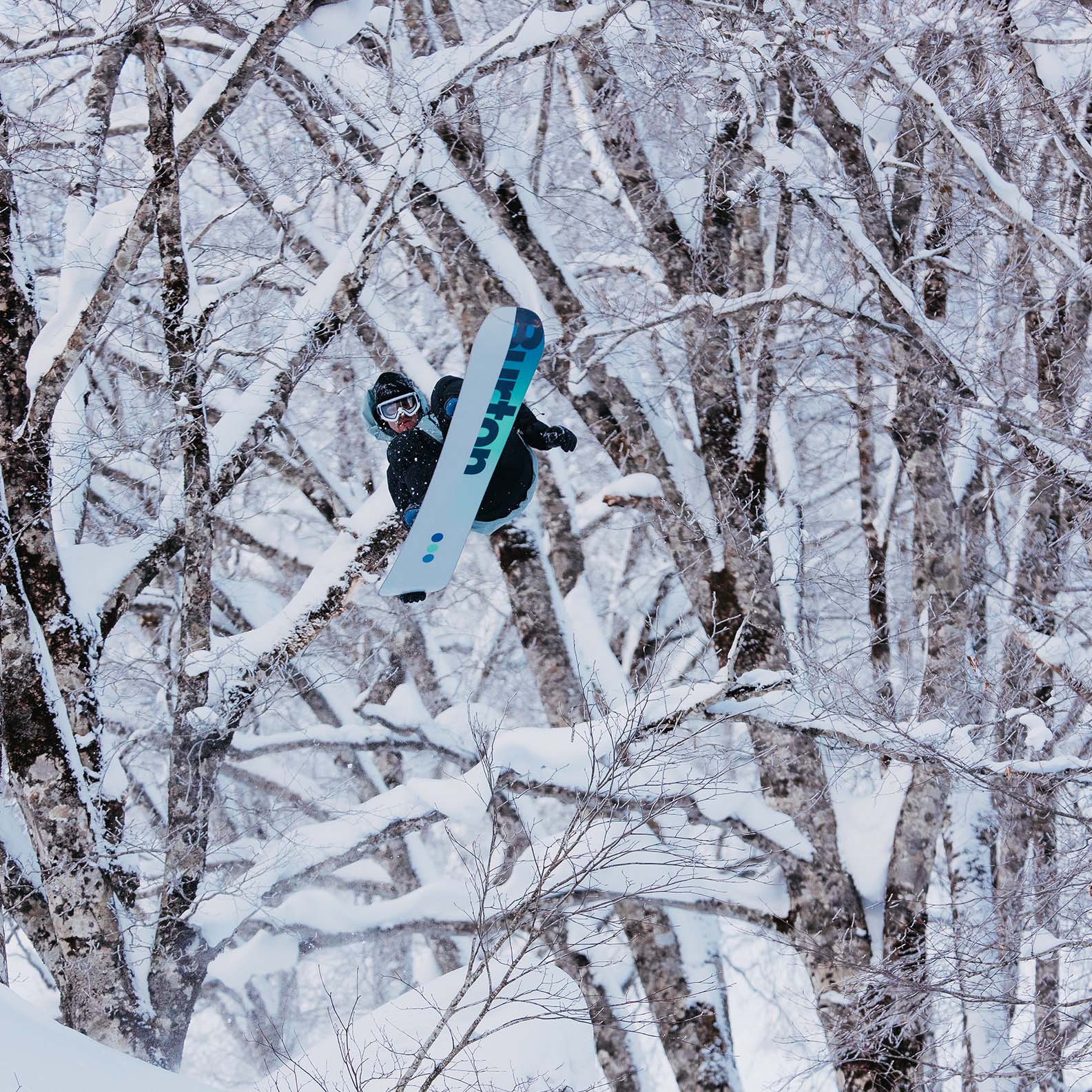 Burton Custom Board Snowboards 2025 | Absolute-Snow