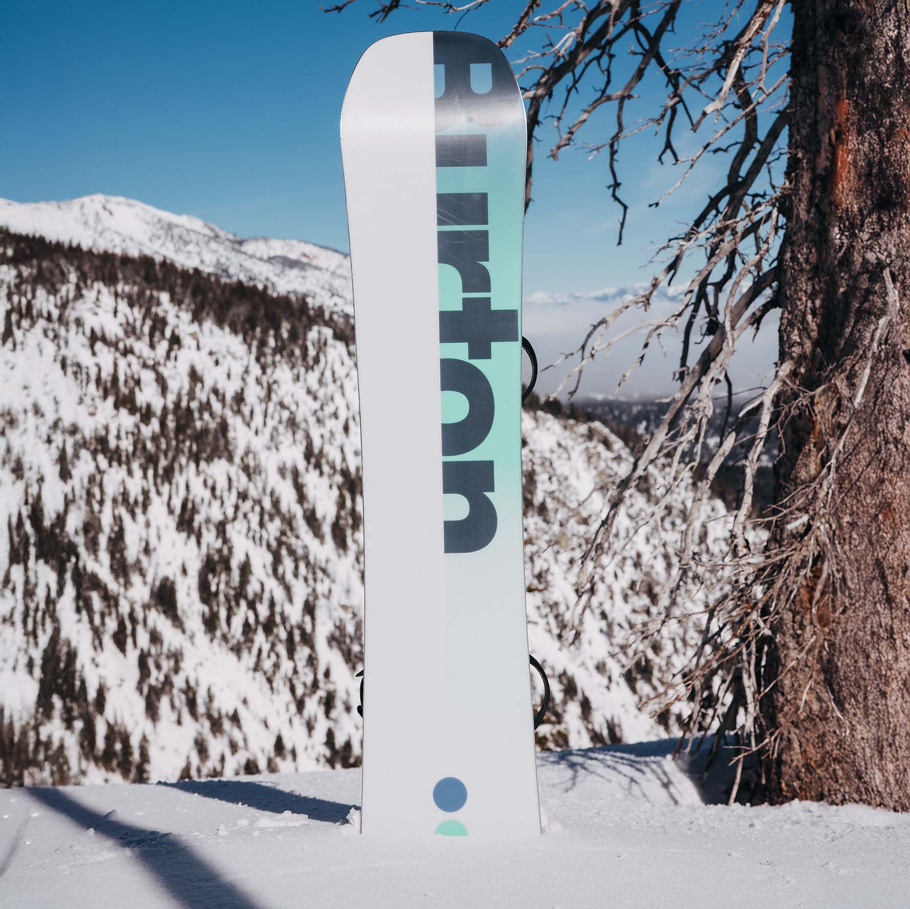 Burton Custom Board Snowboards 2025 | Absolute-Snow