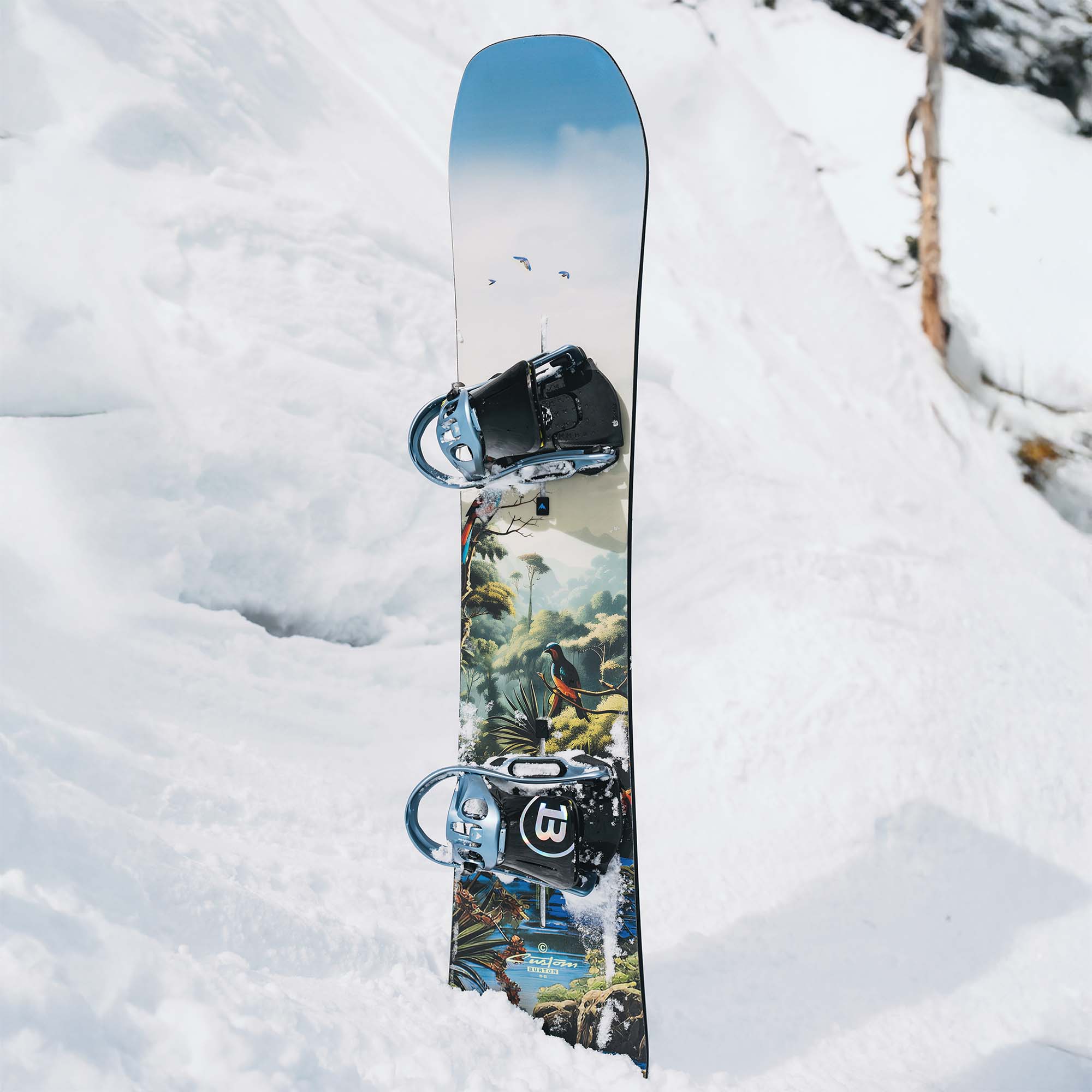 Burton Custom Camber All Mountain Snowboard
