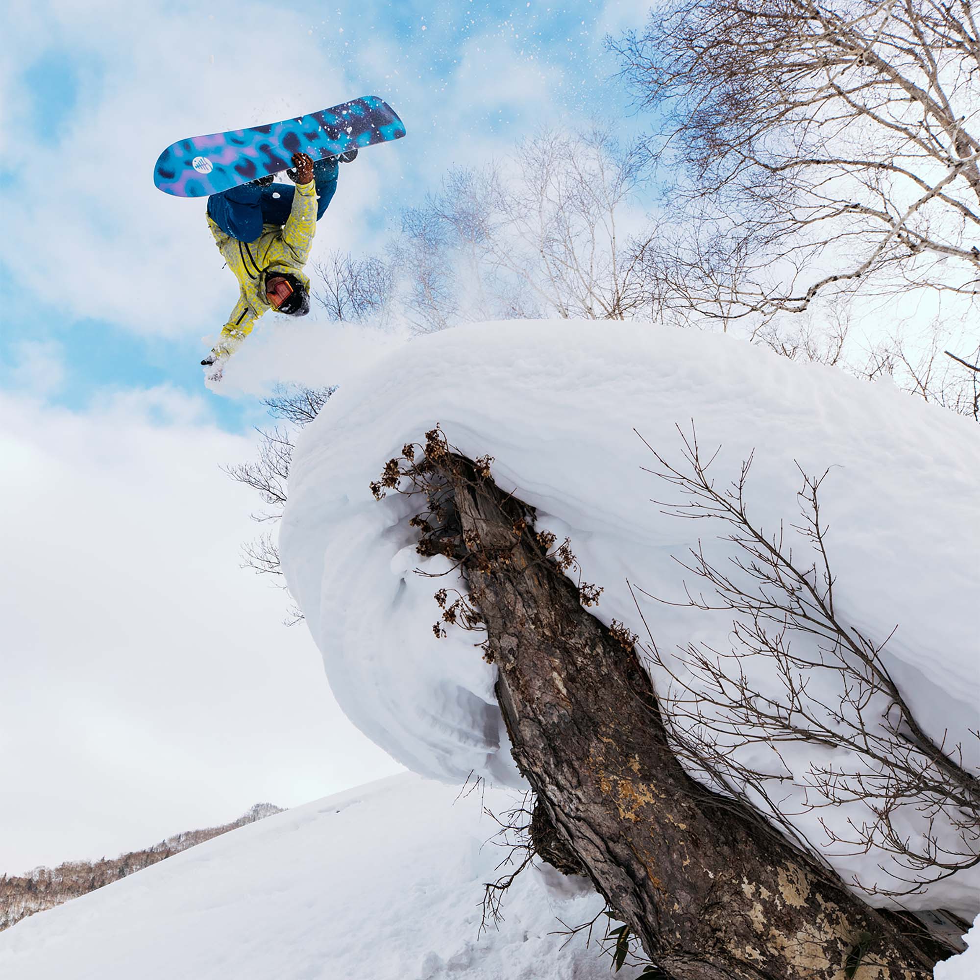 Burton Family Tree Sketch Artist Freeride Snowboard