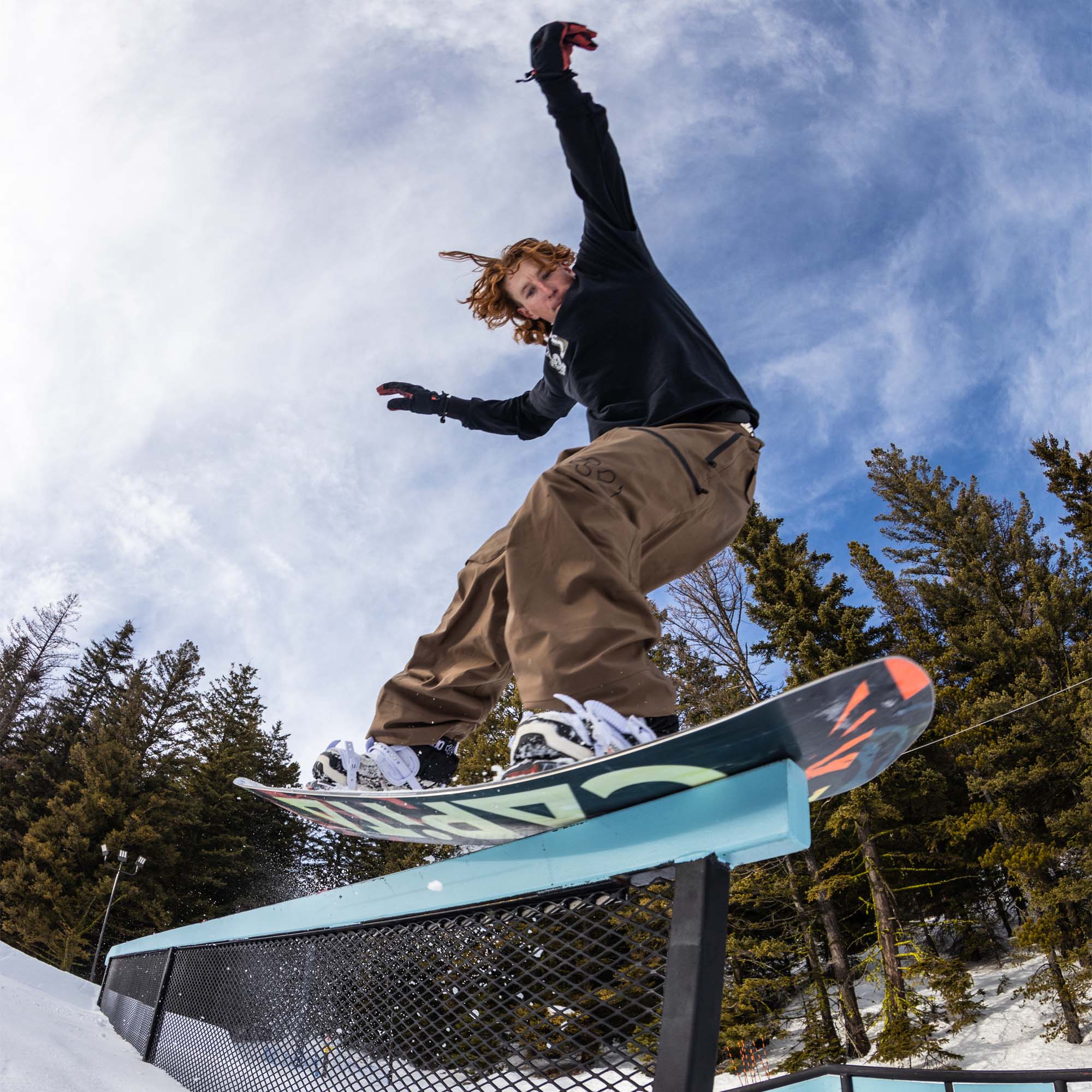 Capita D.O.A. All Mountain Snowboard