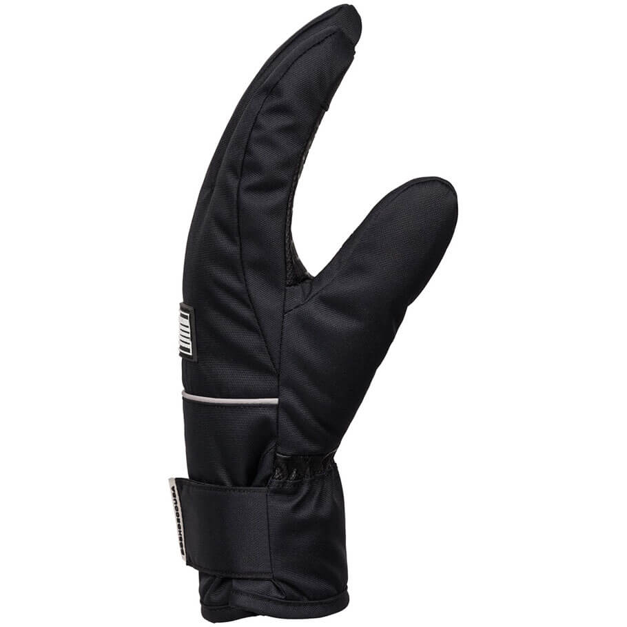 DC Franchise Waterproof Women's Ski/Snowboard Gloves
