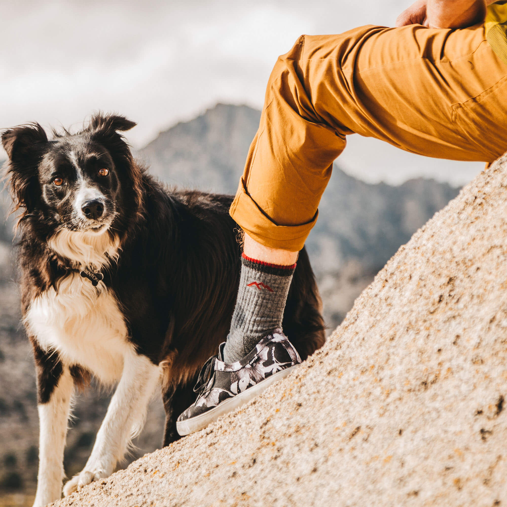 Darn Tough Hiker Boot Full Cushion Hiking Socks