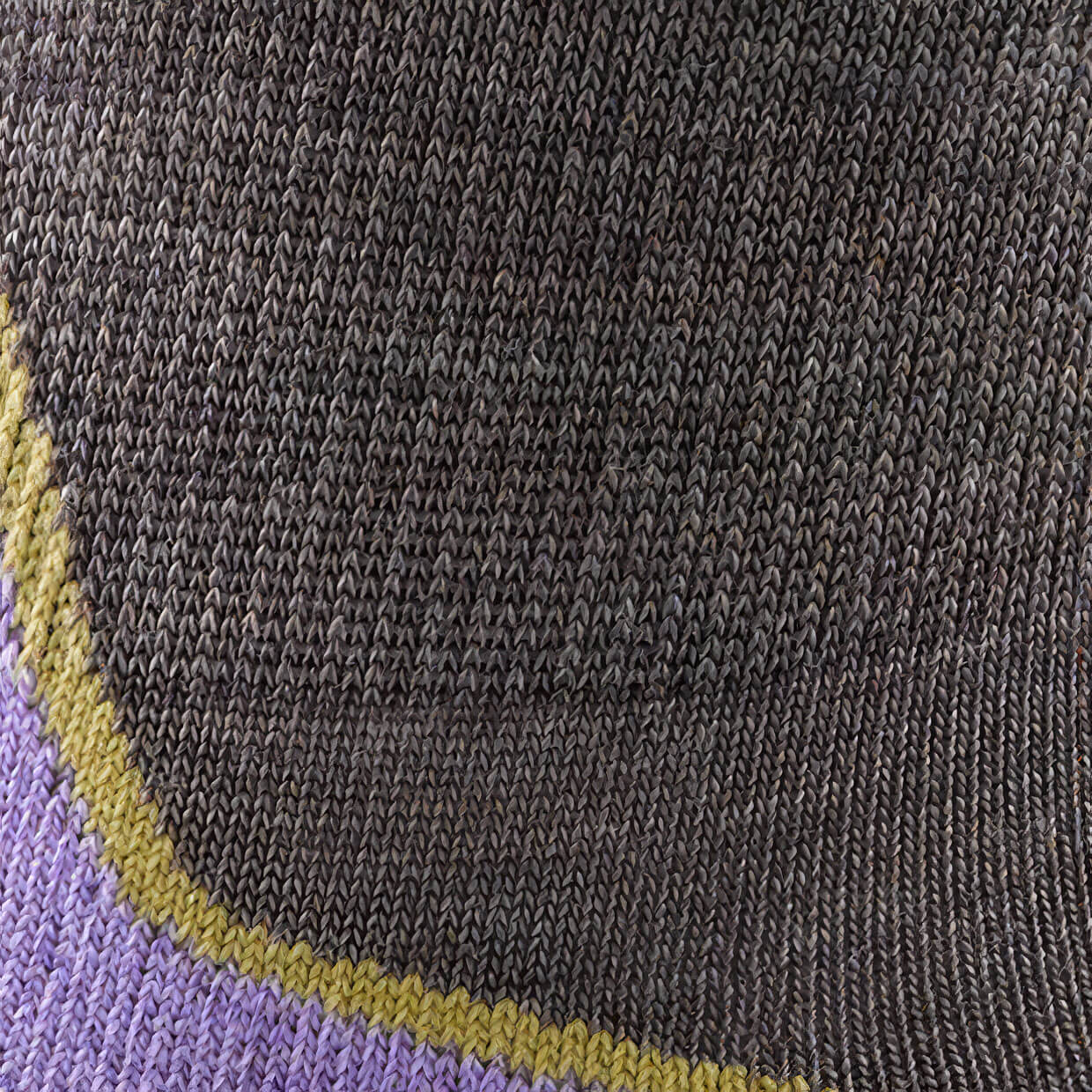 Darn Tough Light Hiker Micro Crew Women's Hiking Socks