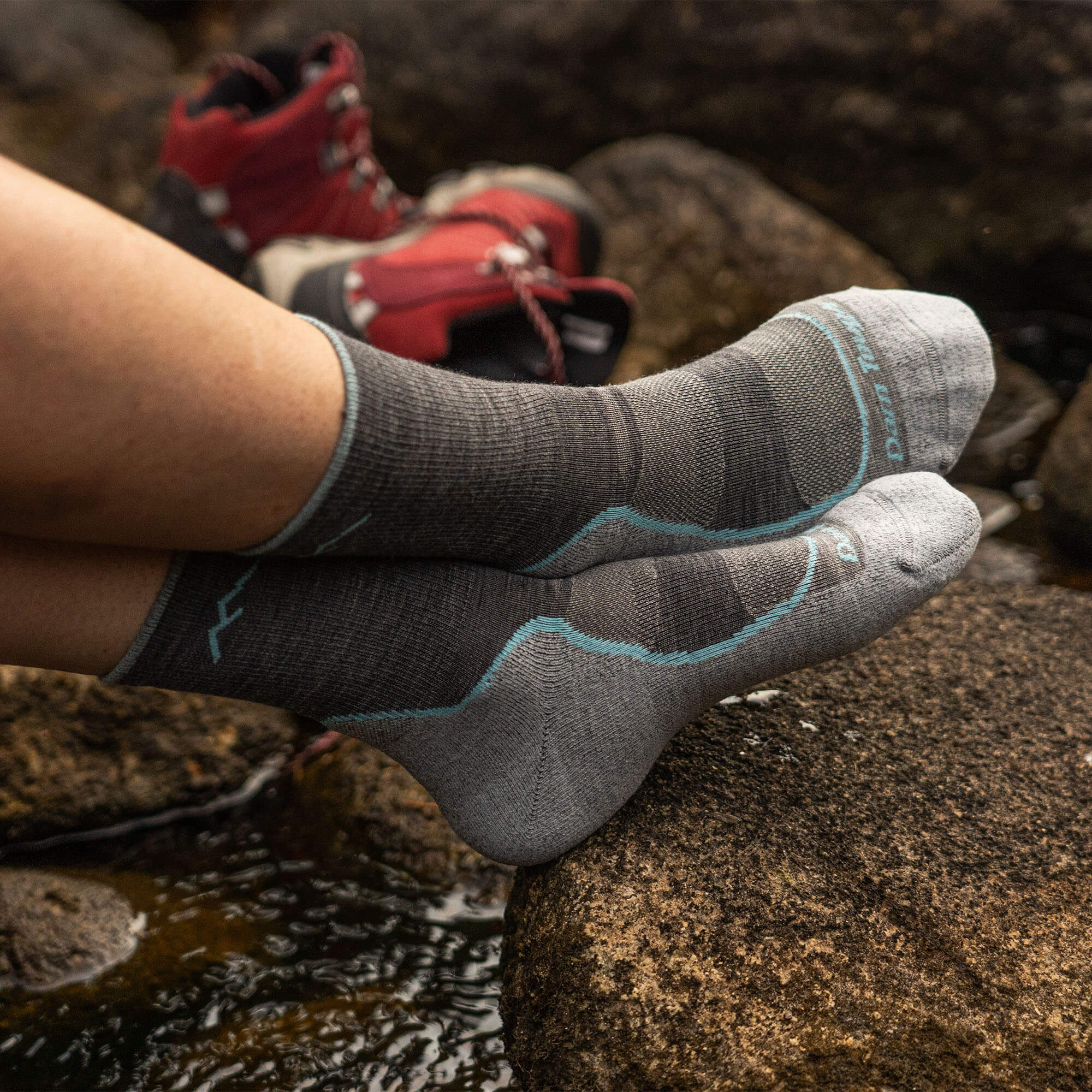 Darn Tough Light Hiker Micro Crew Women's Hiking Socks
