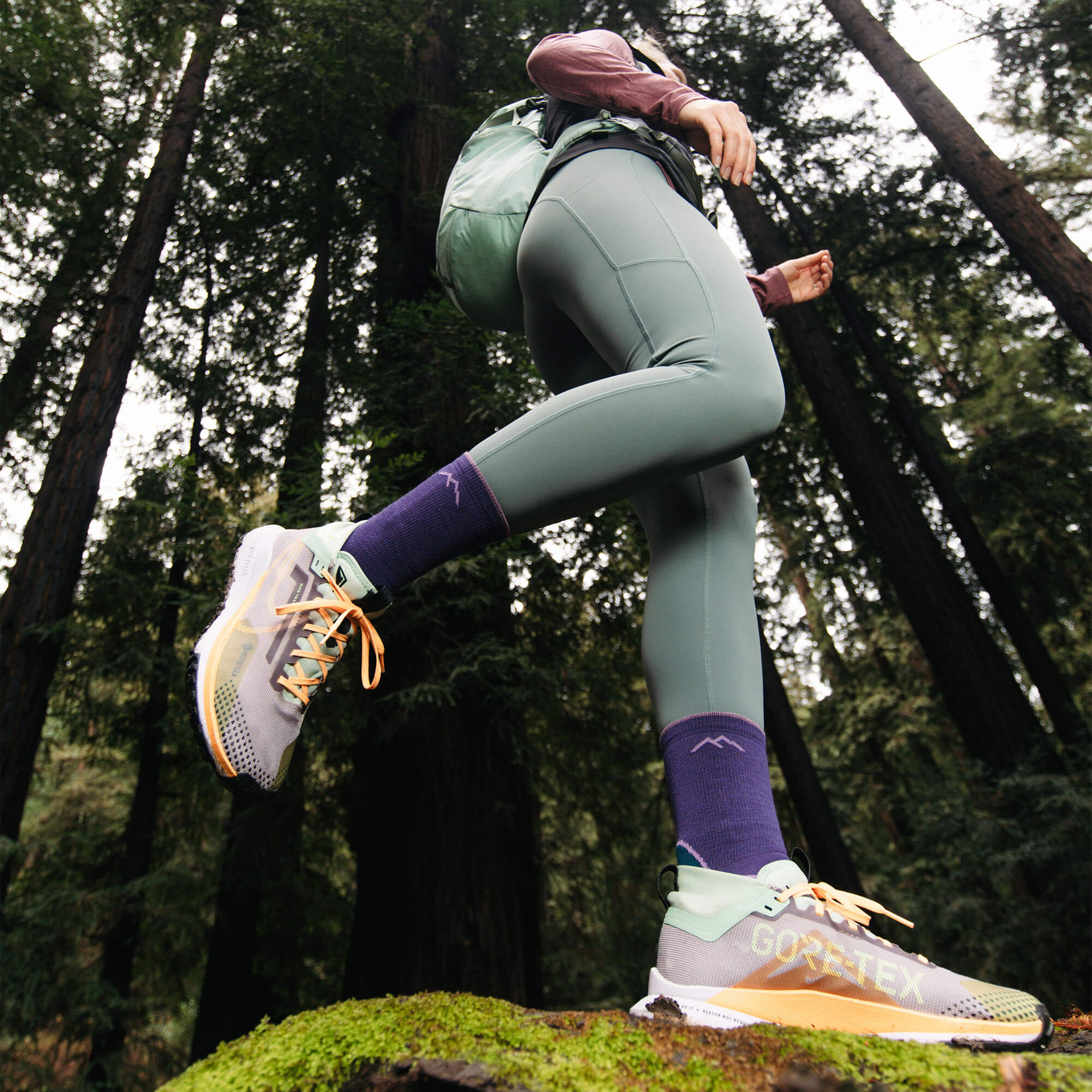 Darn Tough Light Hiker Micro Crew Women's Hiking Socks