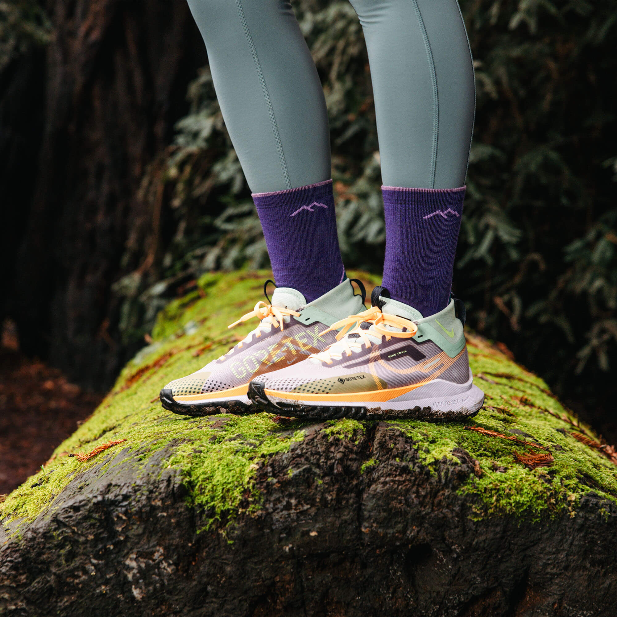 Darn Tough Light Hiker Micro Crew Women's Hiking Socks