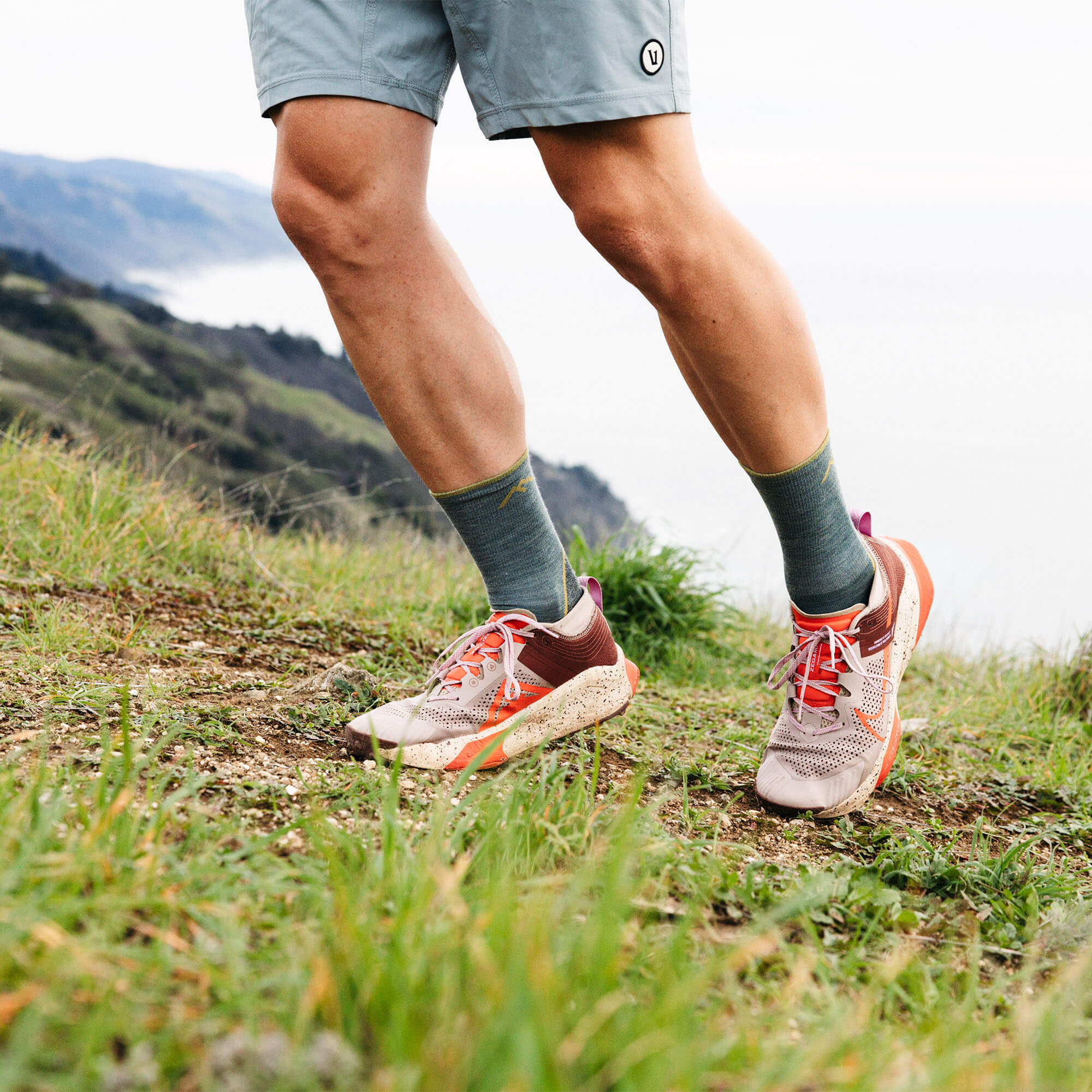 Darn Tough Light Hiker Micro Crew Hiking Socks