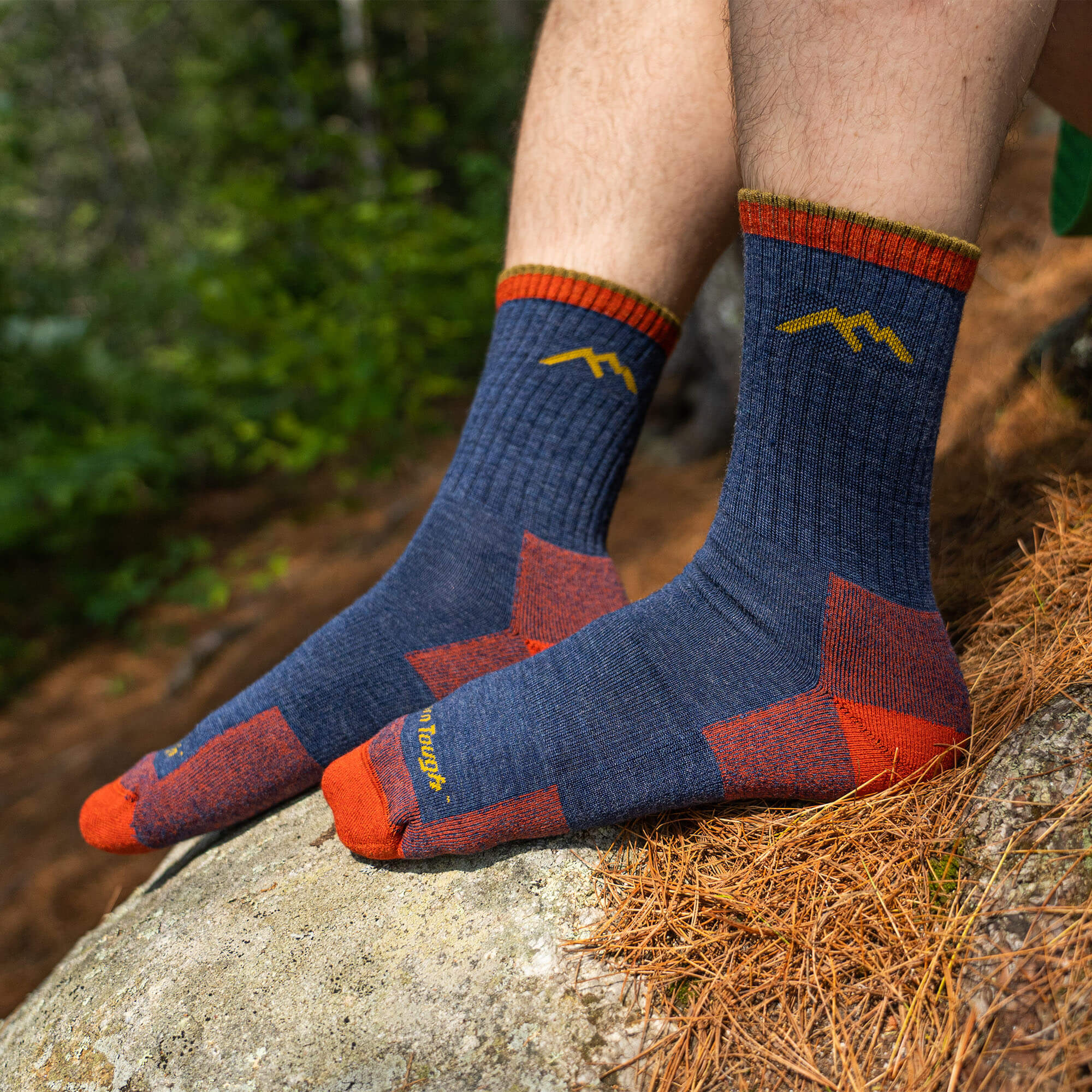 Darn Tough Mid Hiker Micro Crew Hiking Socks