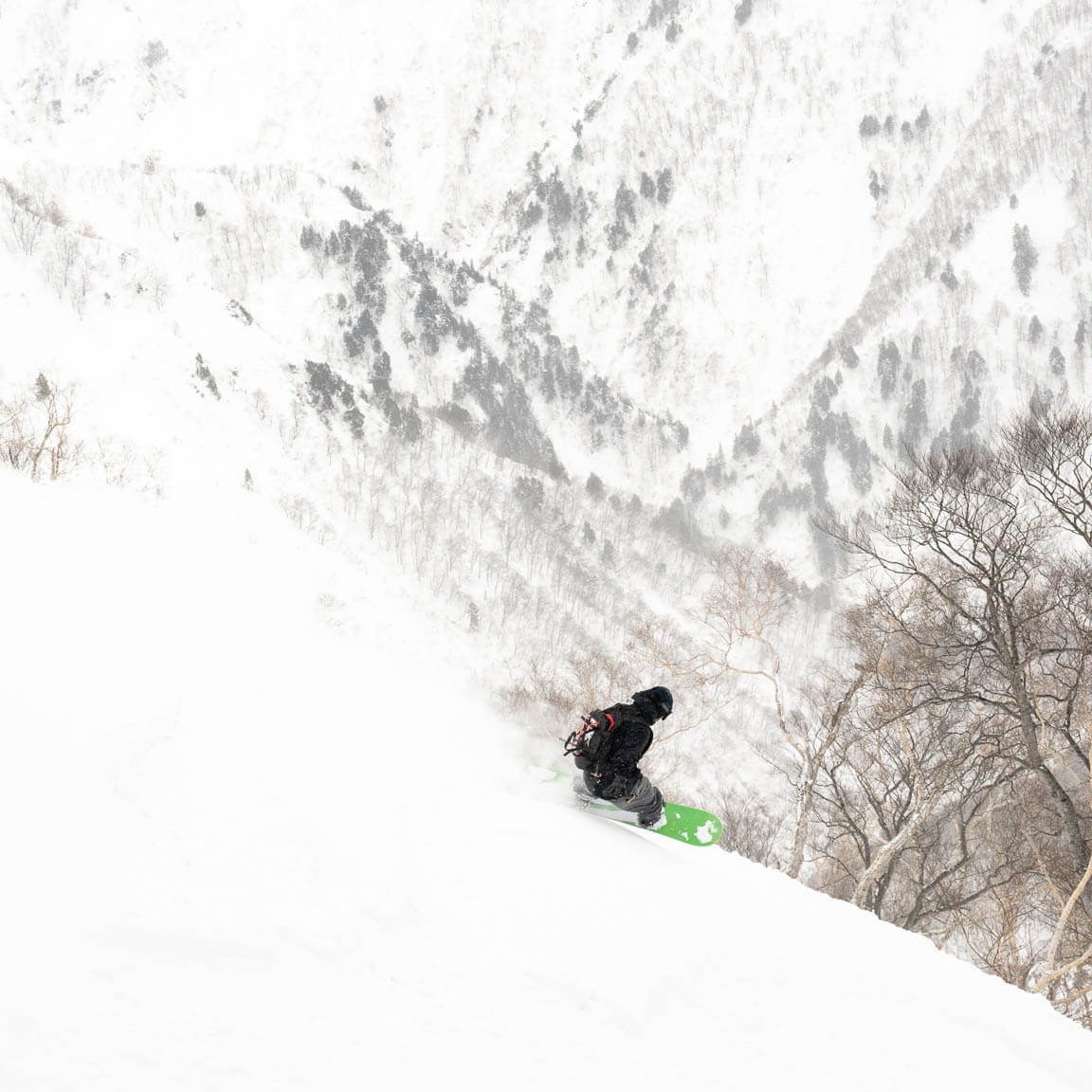 GNU Wagyu All Mountain/Freestyle Snowboard