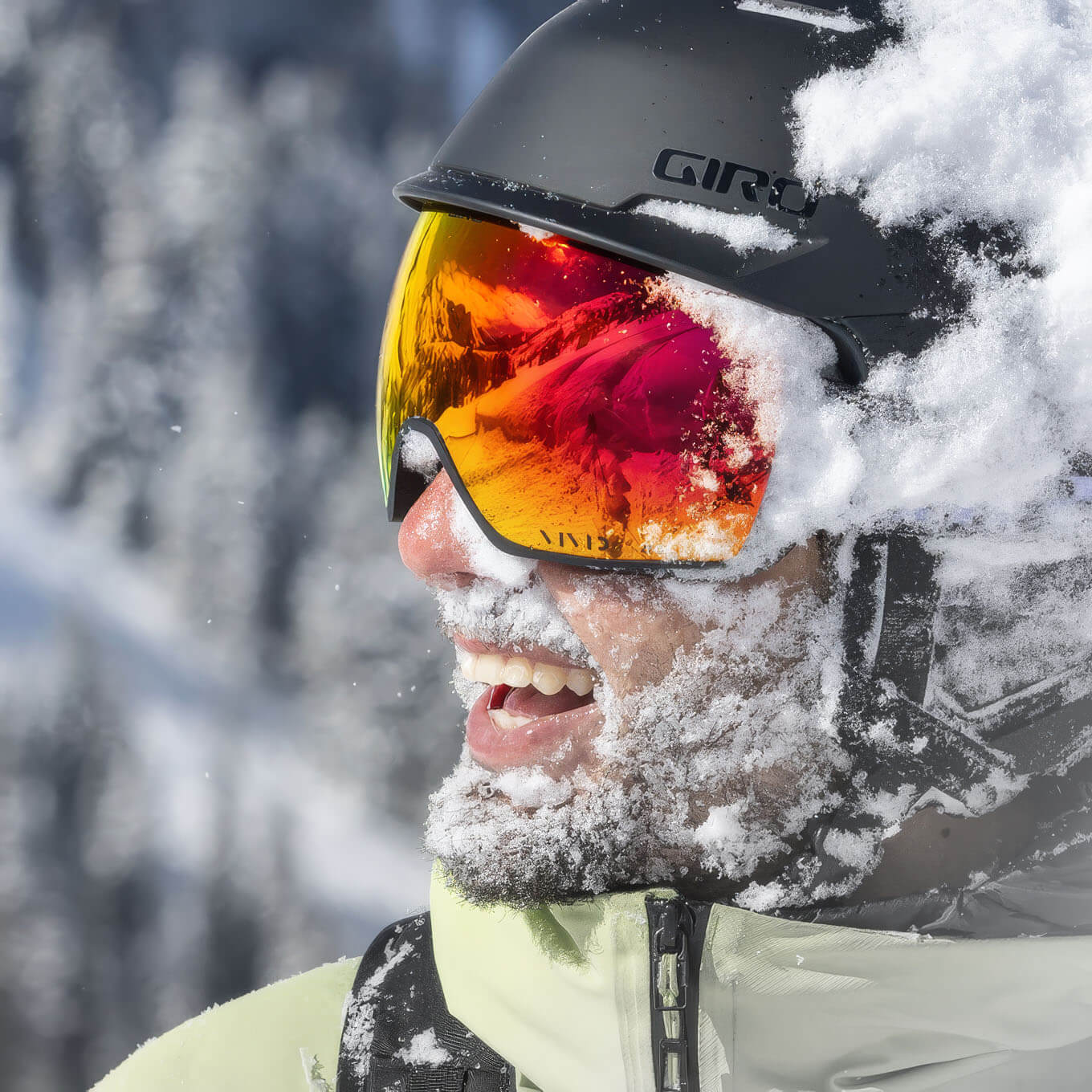 Giro Article II Ski/Snowboard Goggles