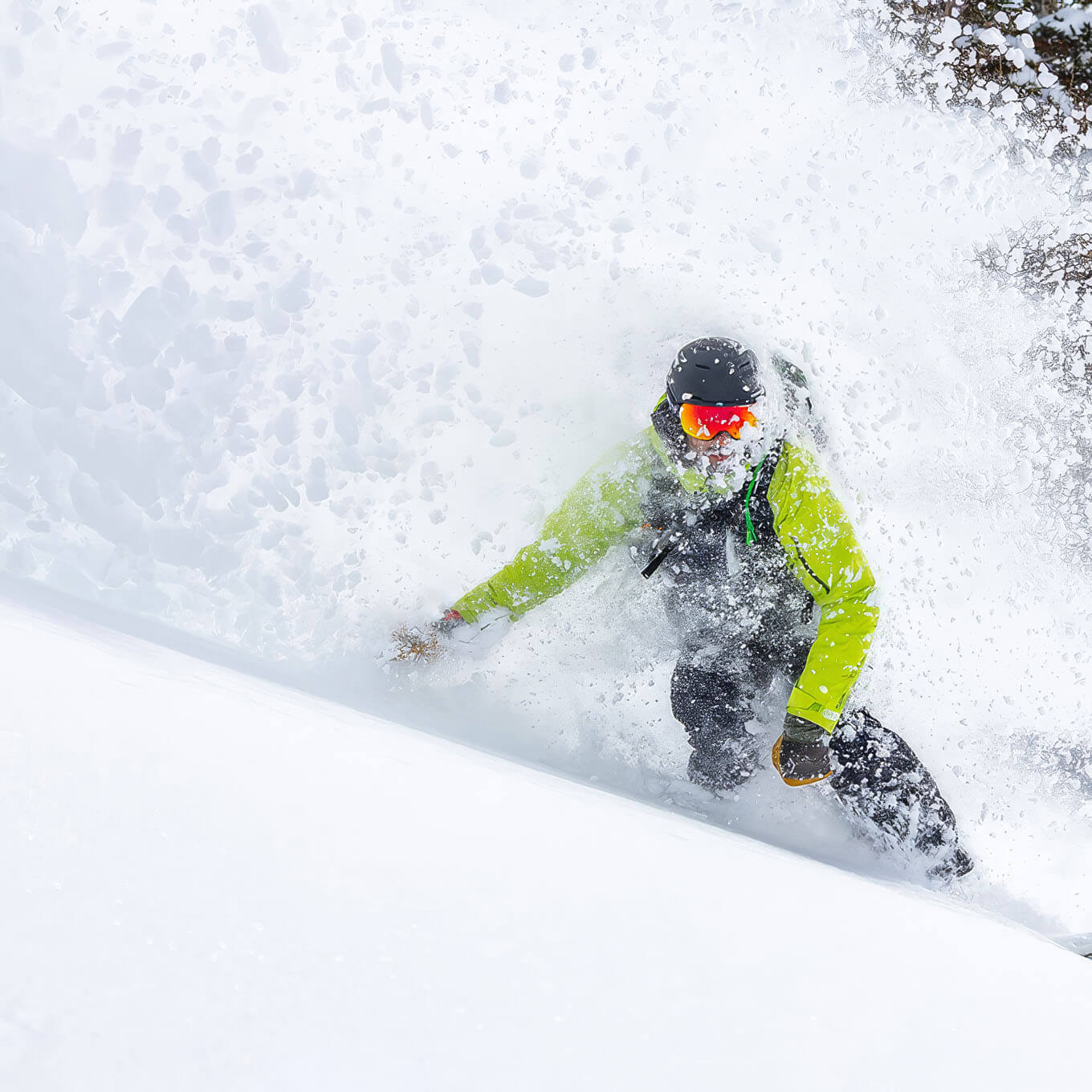 Giro Article II Ski/Snowboard Goggles