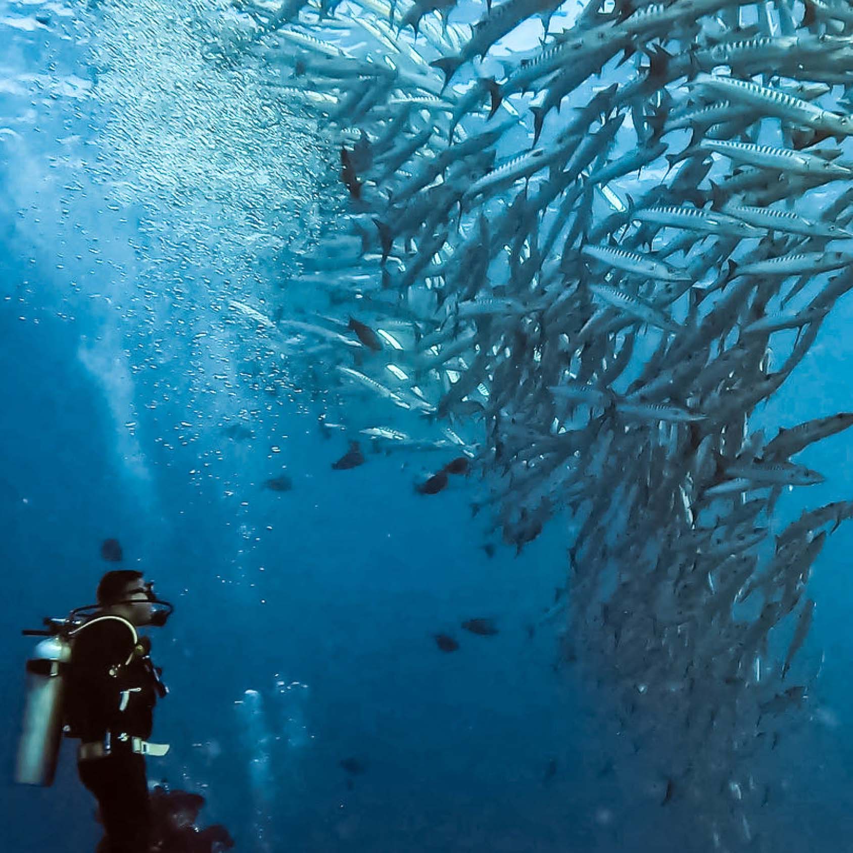 GoPro Protective Housing (for Hero12 Black, Hero11 Black and Hero10 Black) Camera Accessory