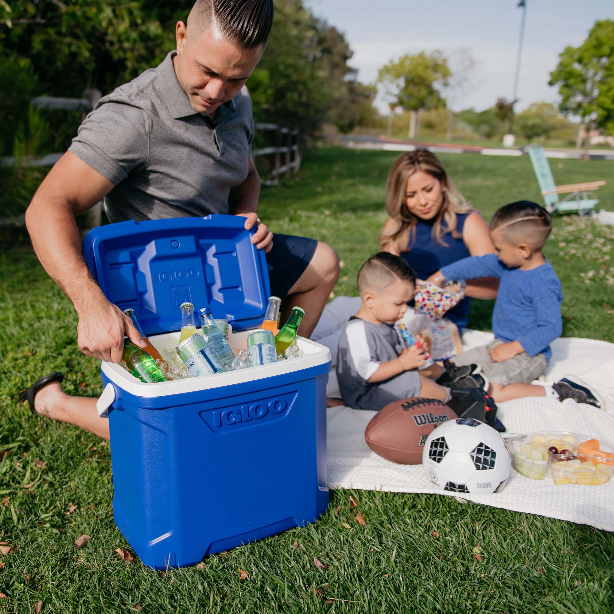 Igloo Profile Ii 30Qt Cool Box