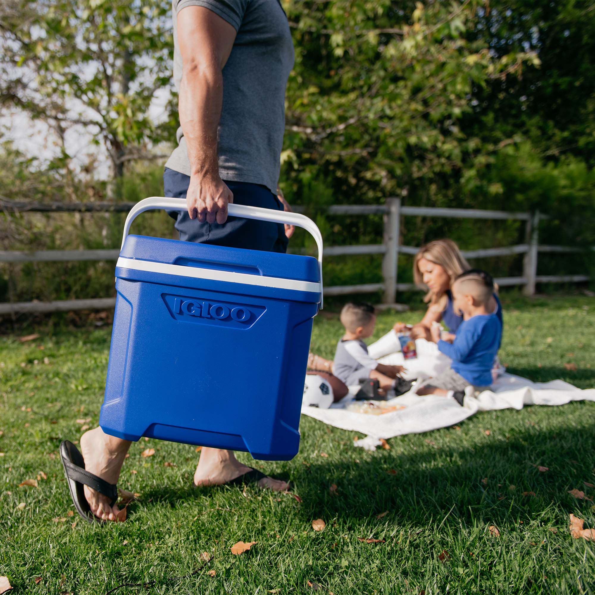 Igloo Profile Ii 30Qt Cool Box