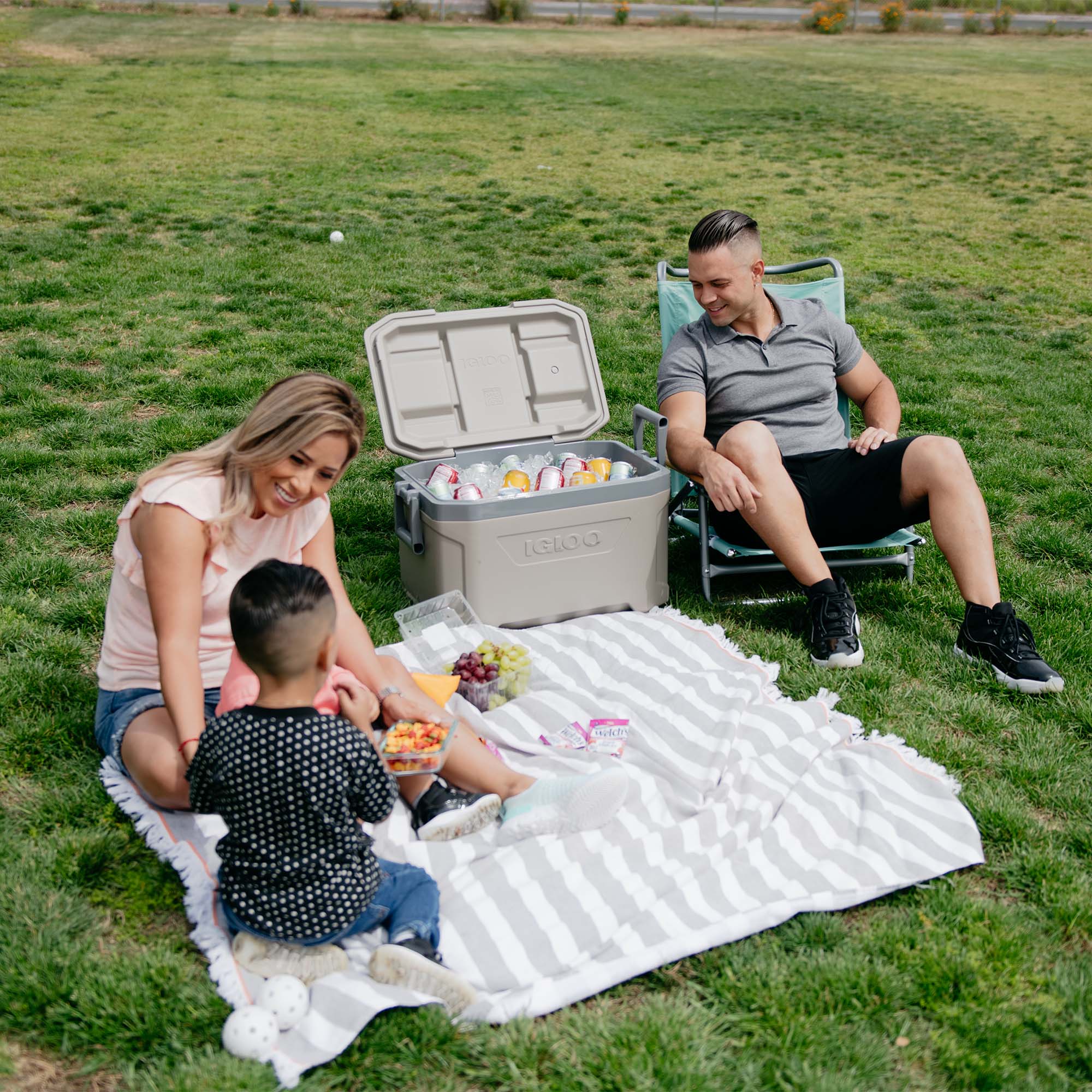 Igloo Profile Ii 50Qt Cool Box