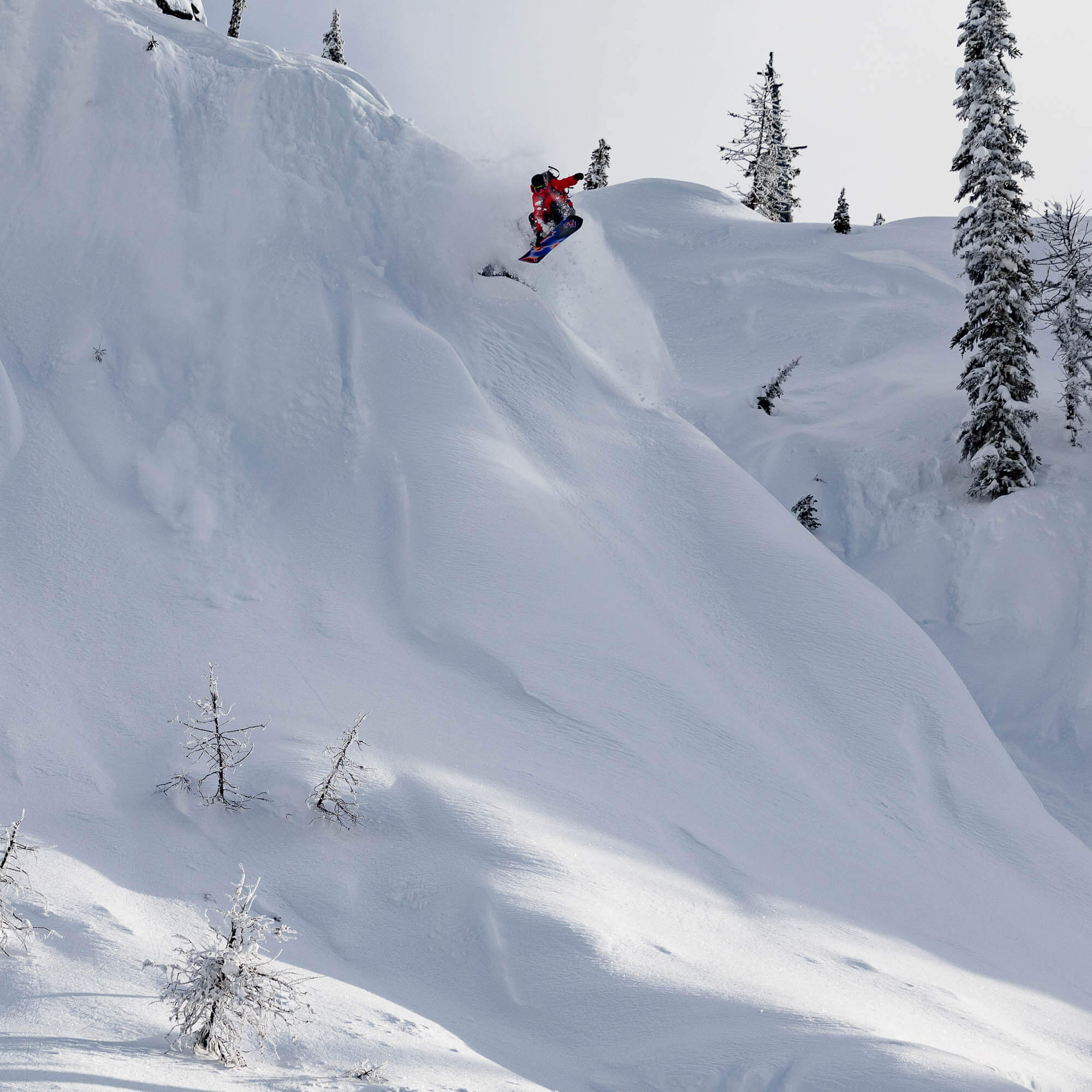 Jones Howler All Mountain/Freeride Snowboard