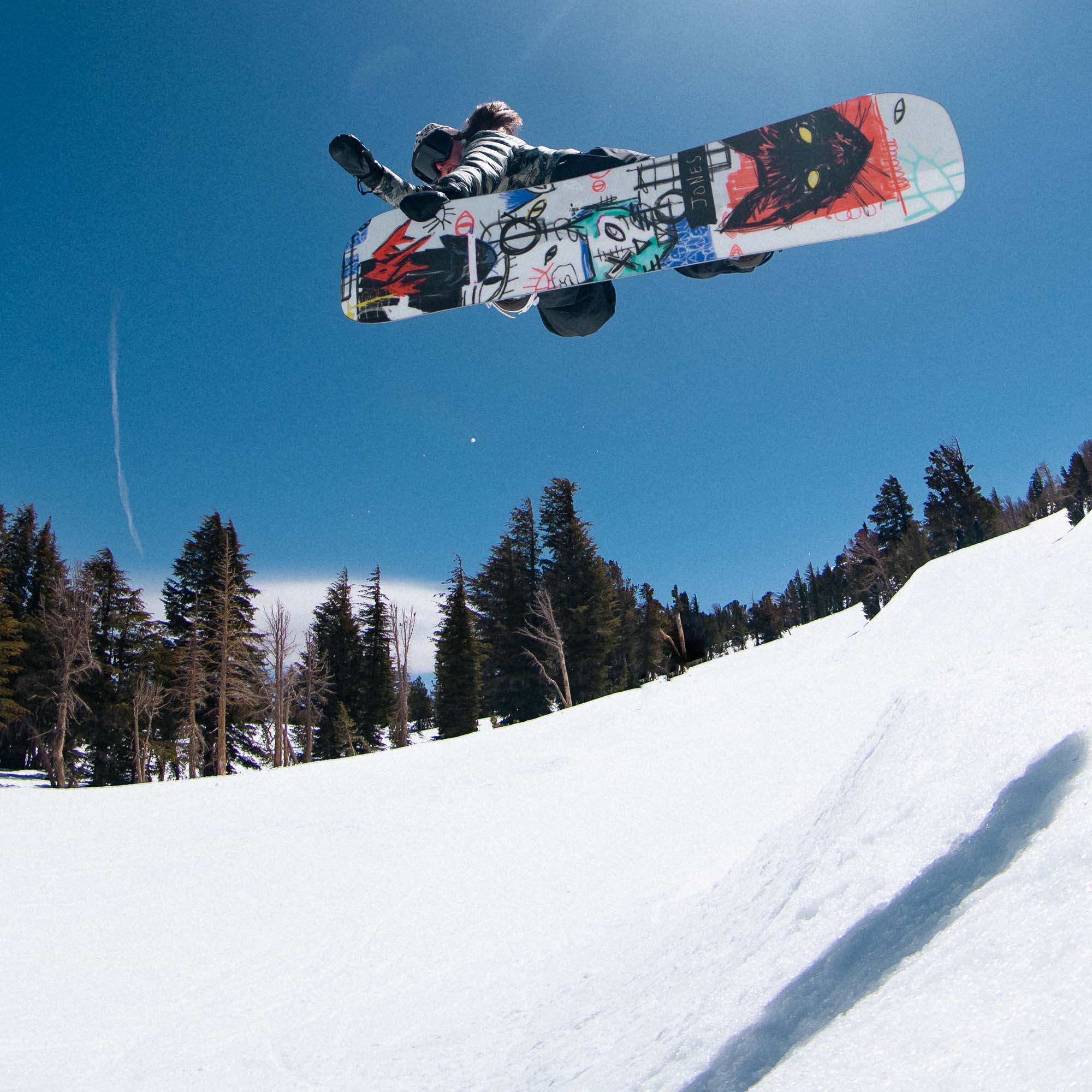 Jones Rally Cat Snowboards 2026 | Absolute-Snow