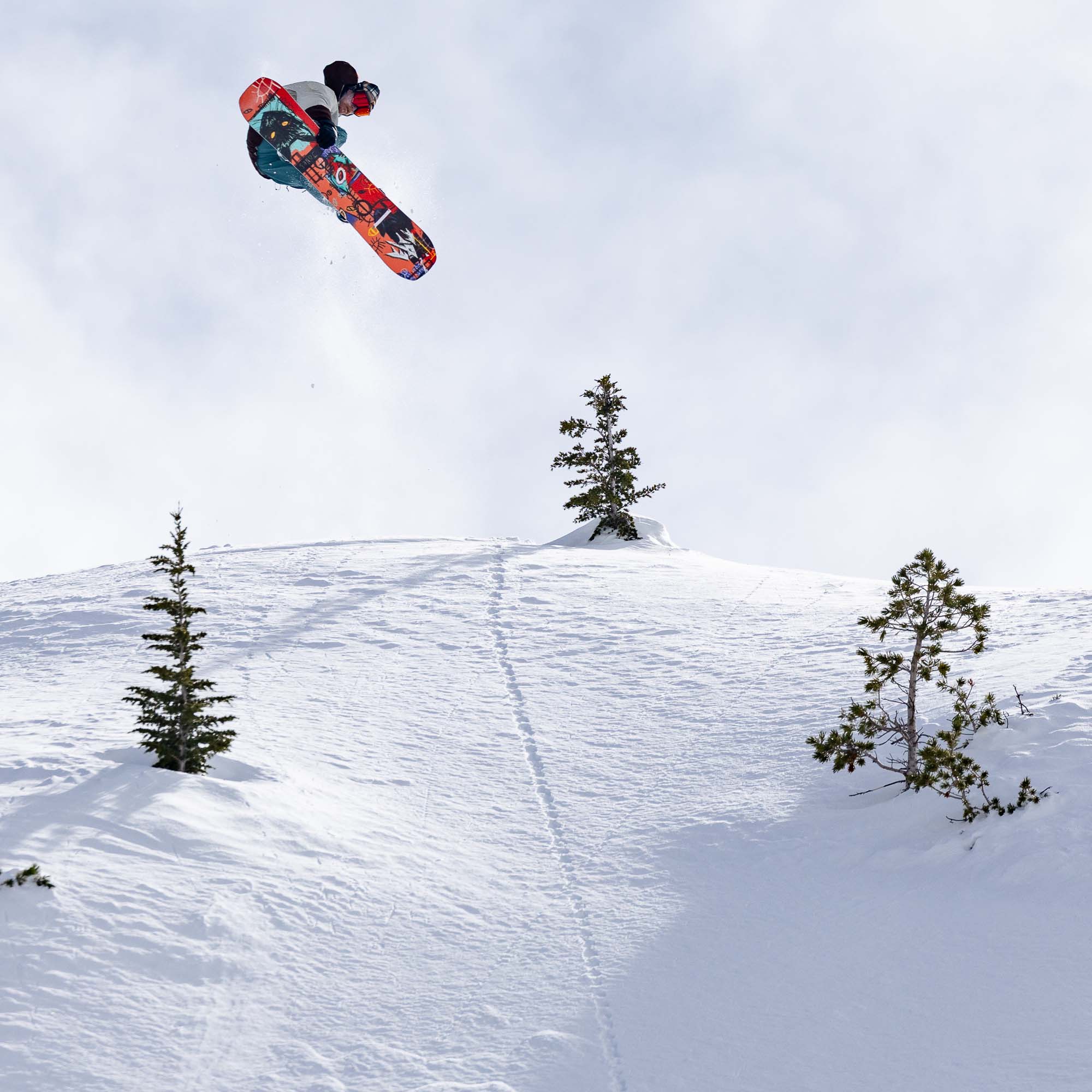 Jones Rally Cat All Mountain Snowboard