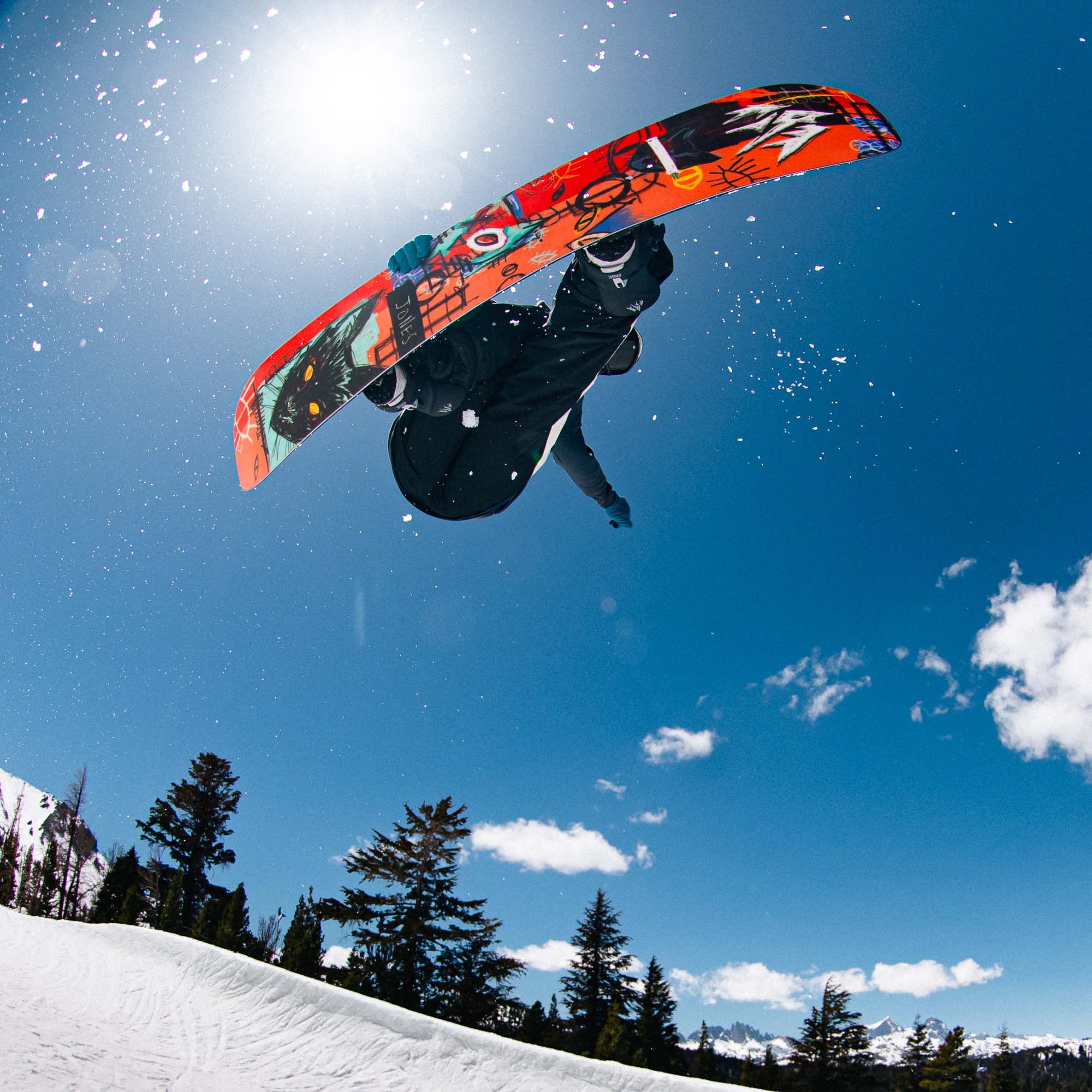 Jones Rally Cat All Mountain Snowboard