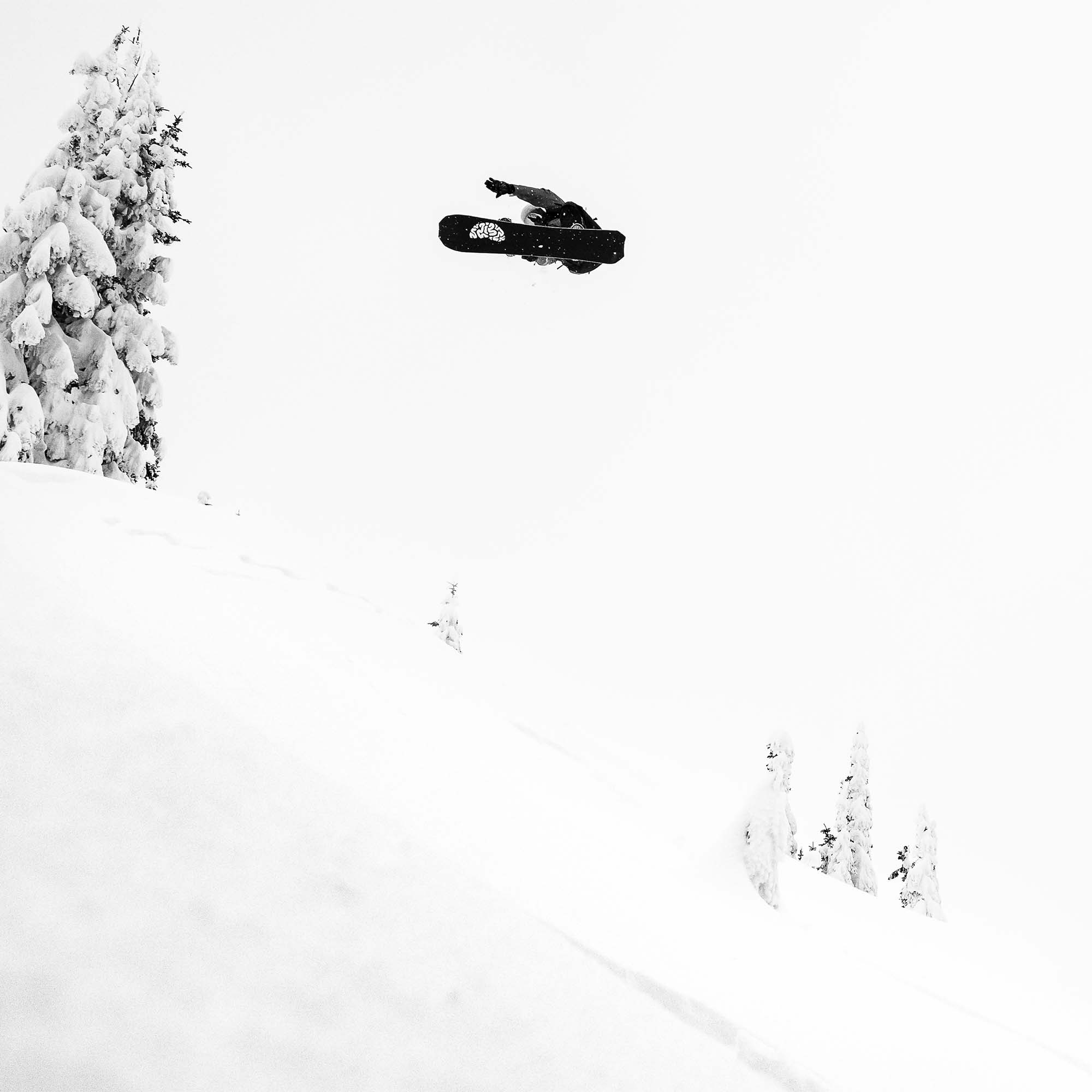 Lib Tech T. Rice Apex Orca All Mountain Snowboard