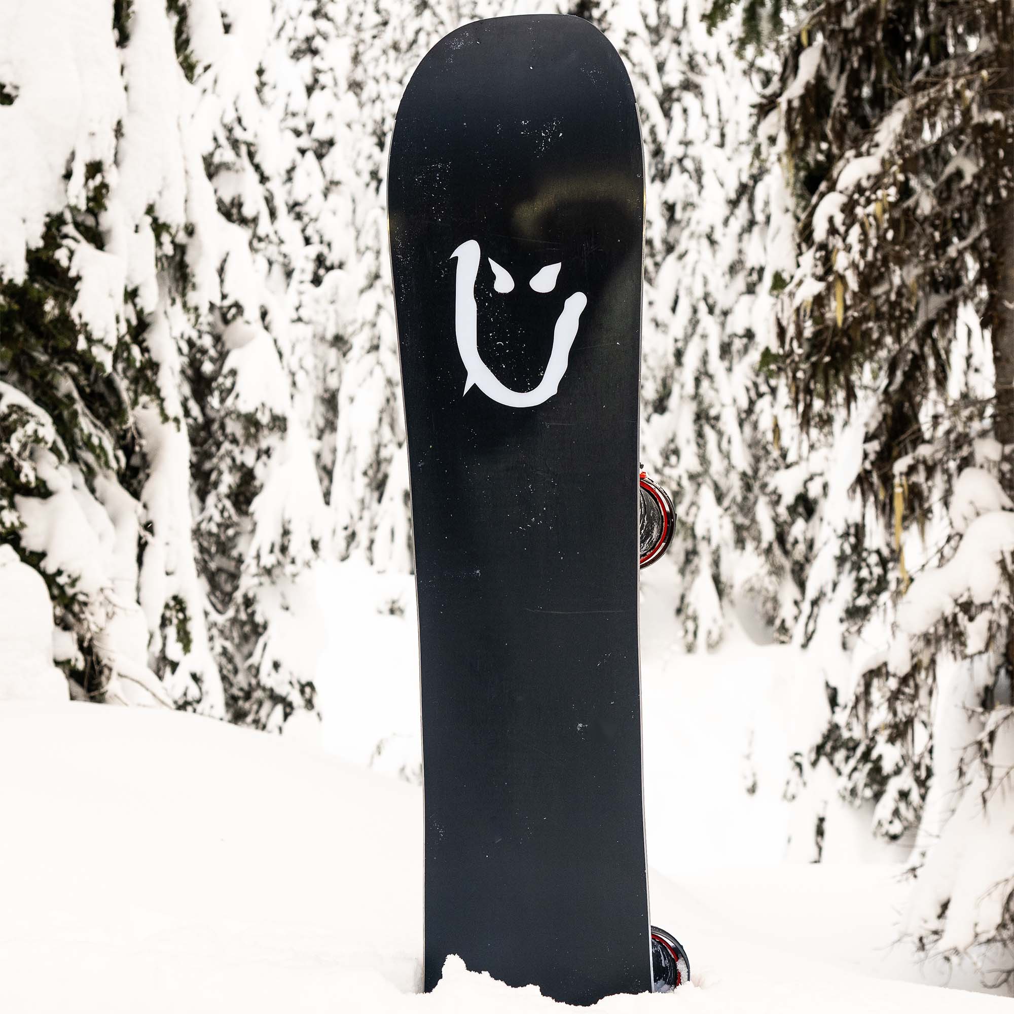 Lib Tech DPR All Mountain Snowboard