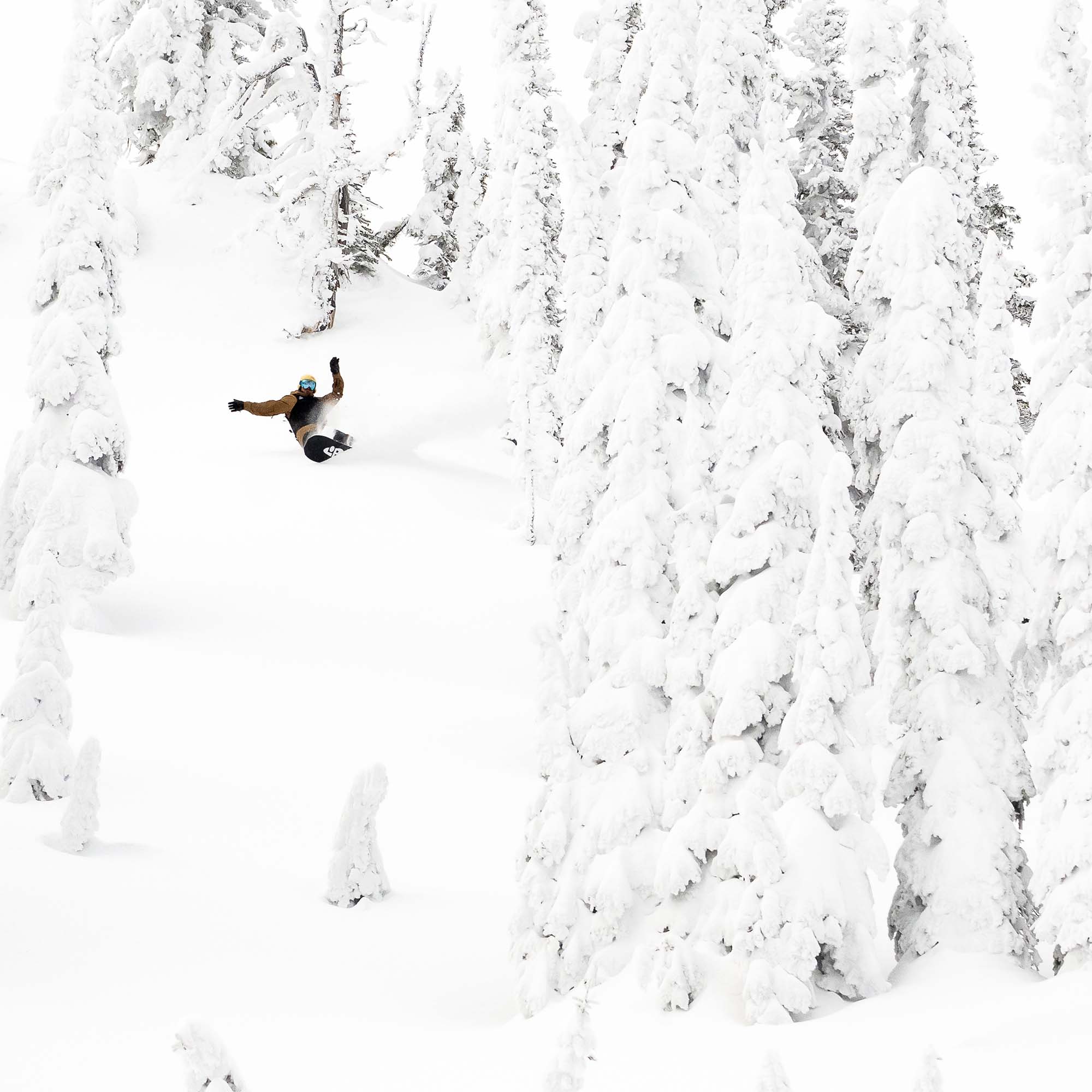 Lib Tech T. Rice Golden Orca All Mountain Snowboard