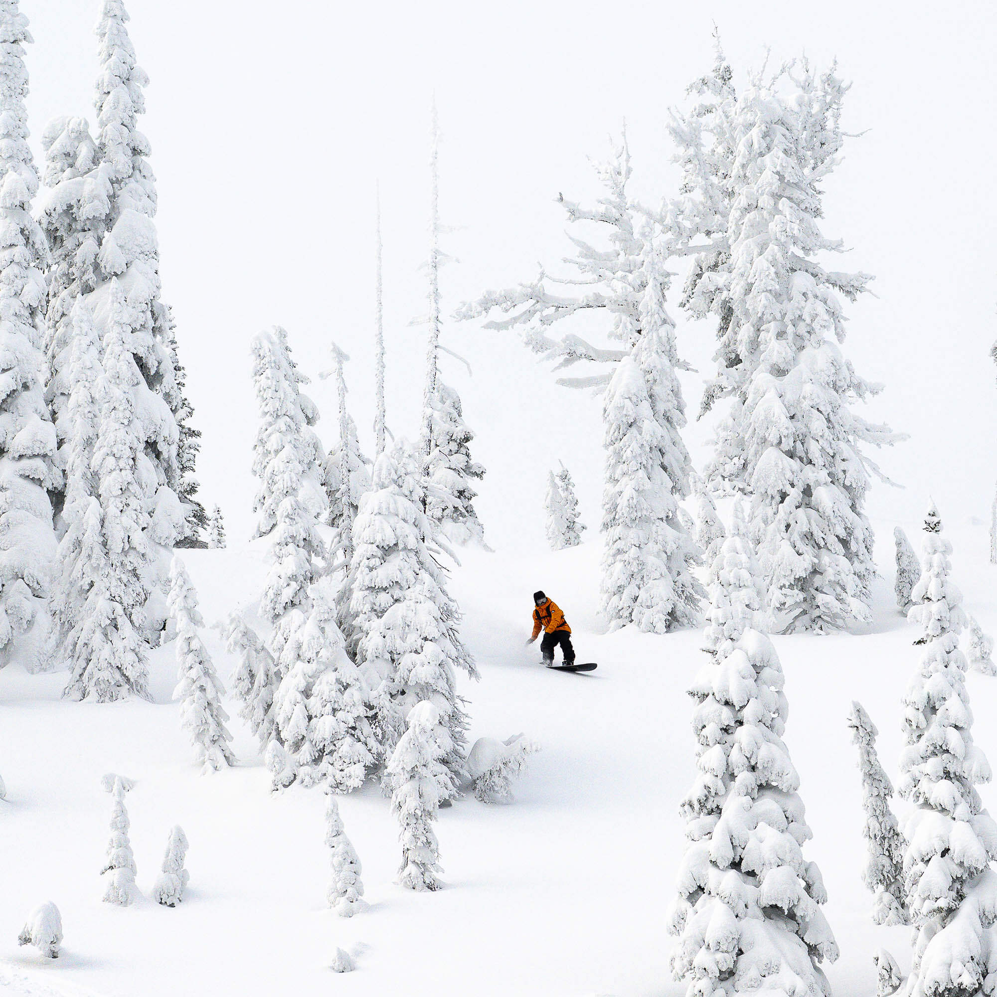 Lib Tech Mayhem Sweet Fish Freeride Snowboard