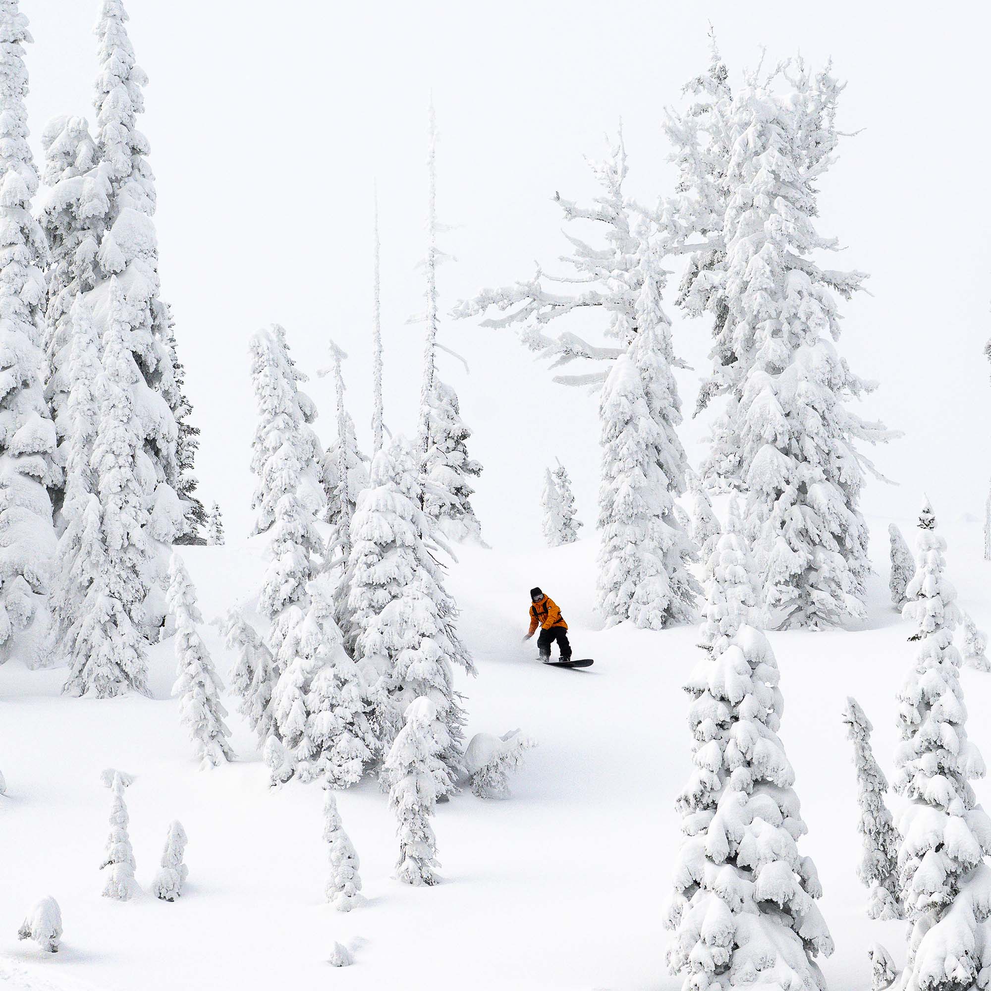 Lib Tech Mayhem Sweet Fish Freeride Snowboard