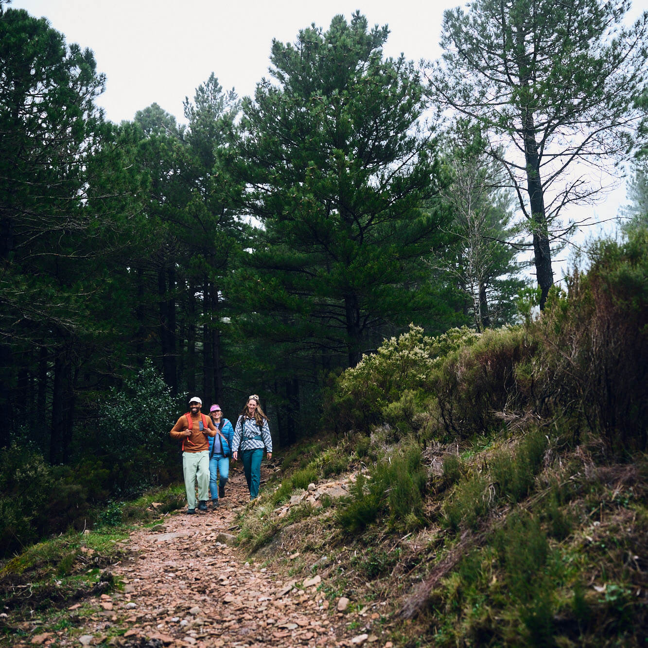 Lowa Ventierra GTX Mid Waterproof Hiking Boots