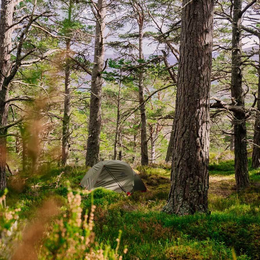 MSR Elixir 3 V2 Backpacking Tent with Footprint