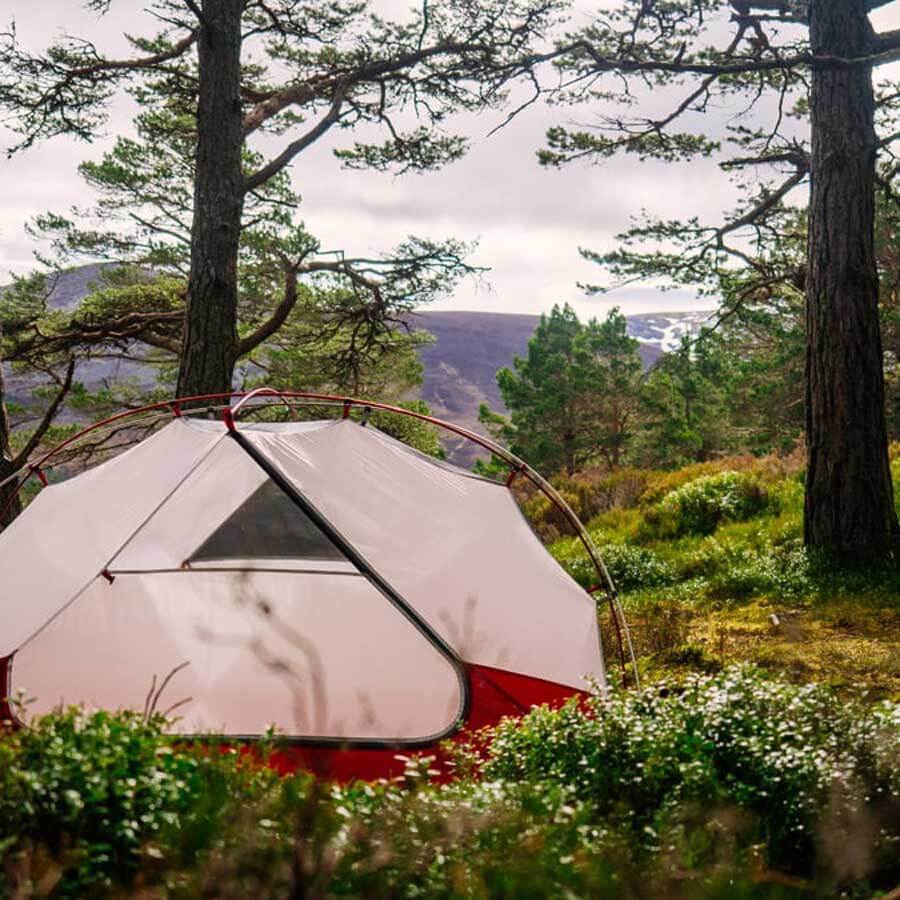 MSR Elixir 3 V2 Backpacking Tent with Footprint