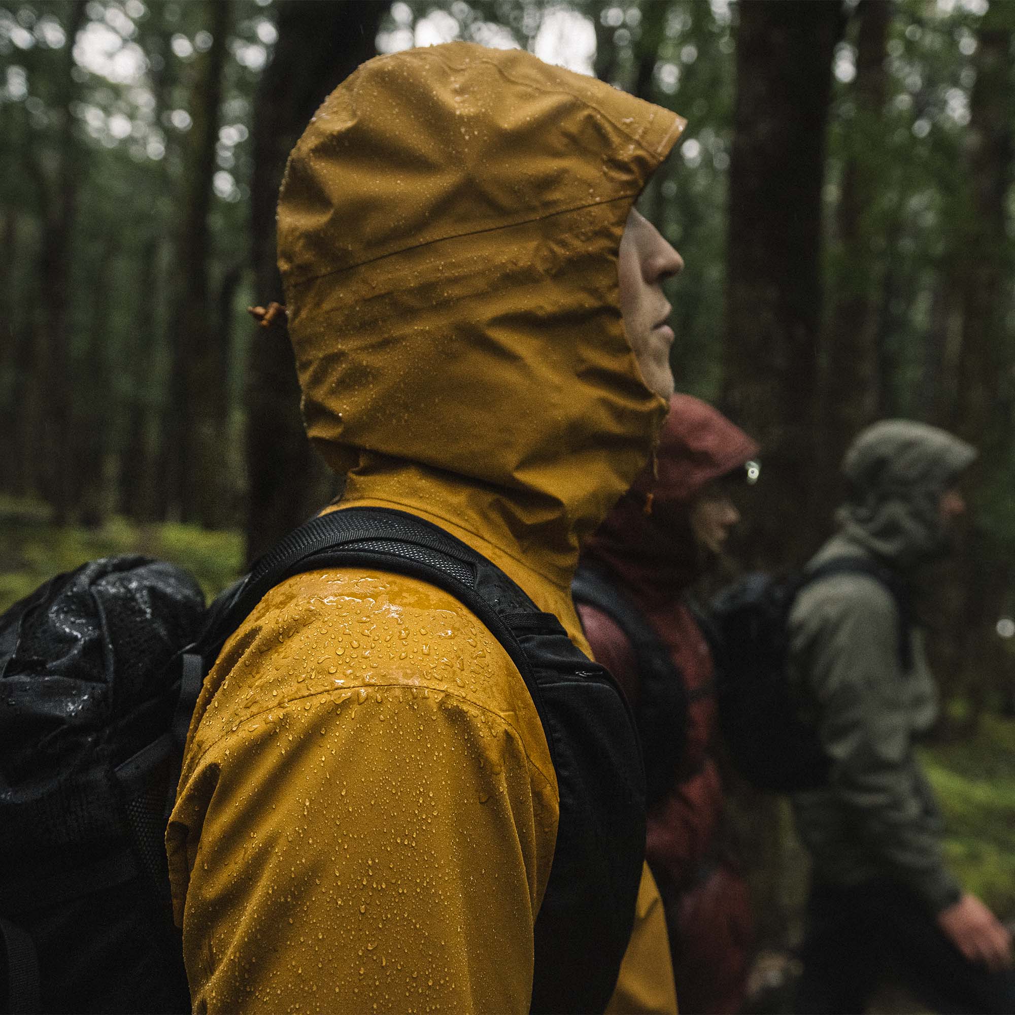 Montane Phase Lite Gore-Tex Jacket