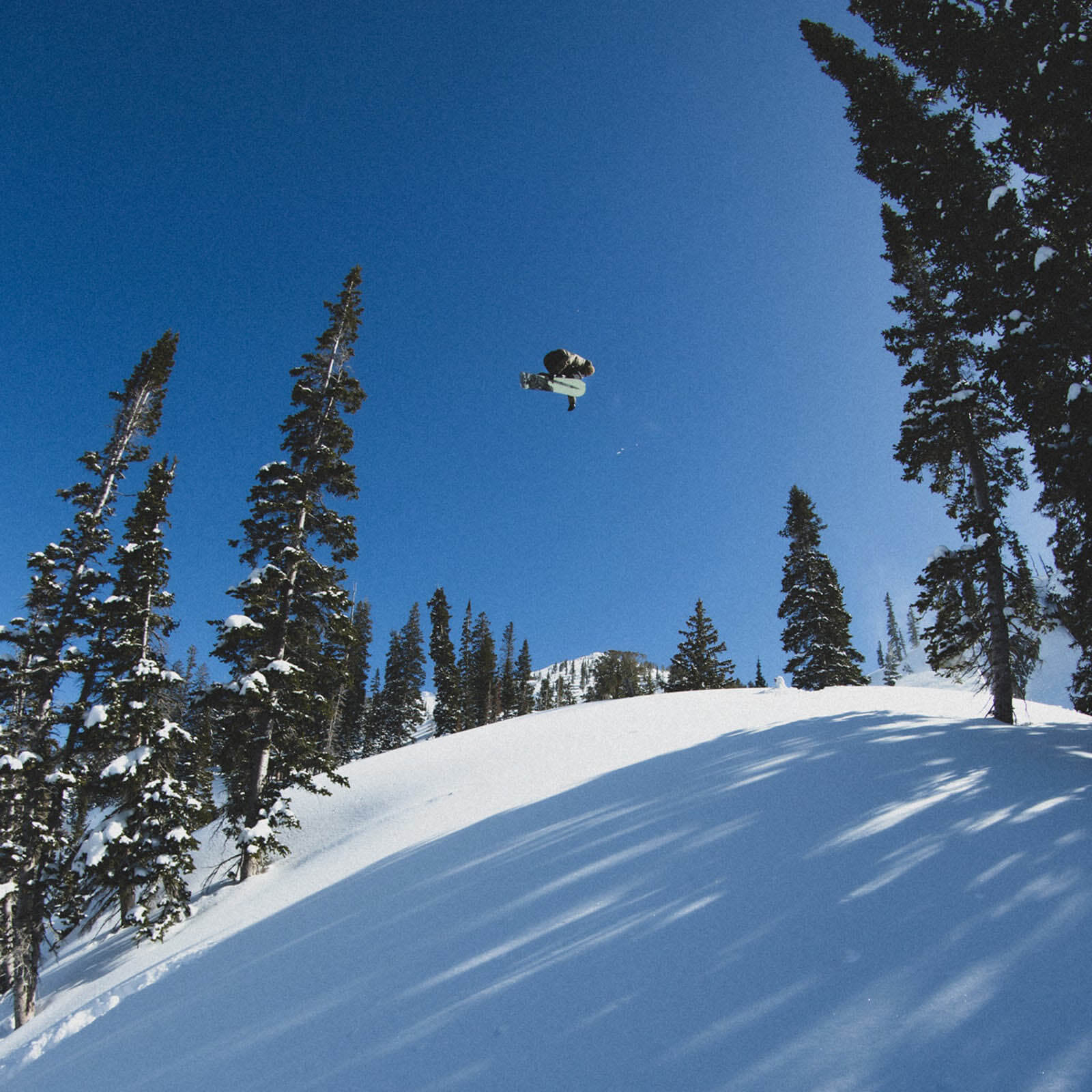 Nitro Beast Park/Freestyle Snowboard