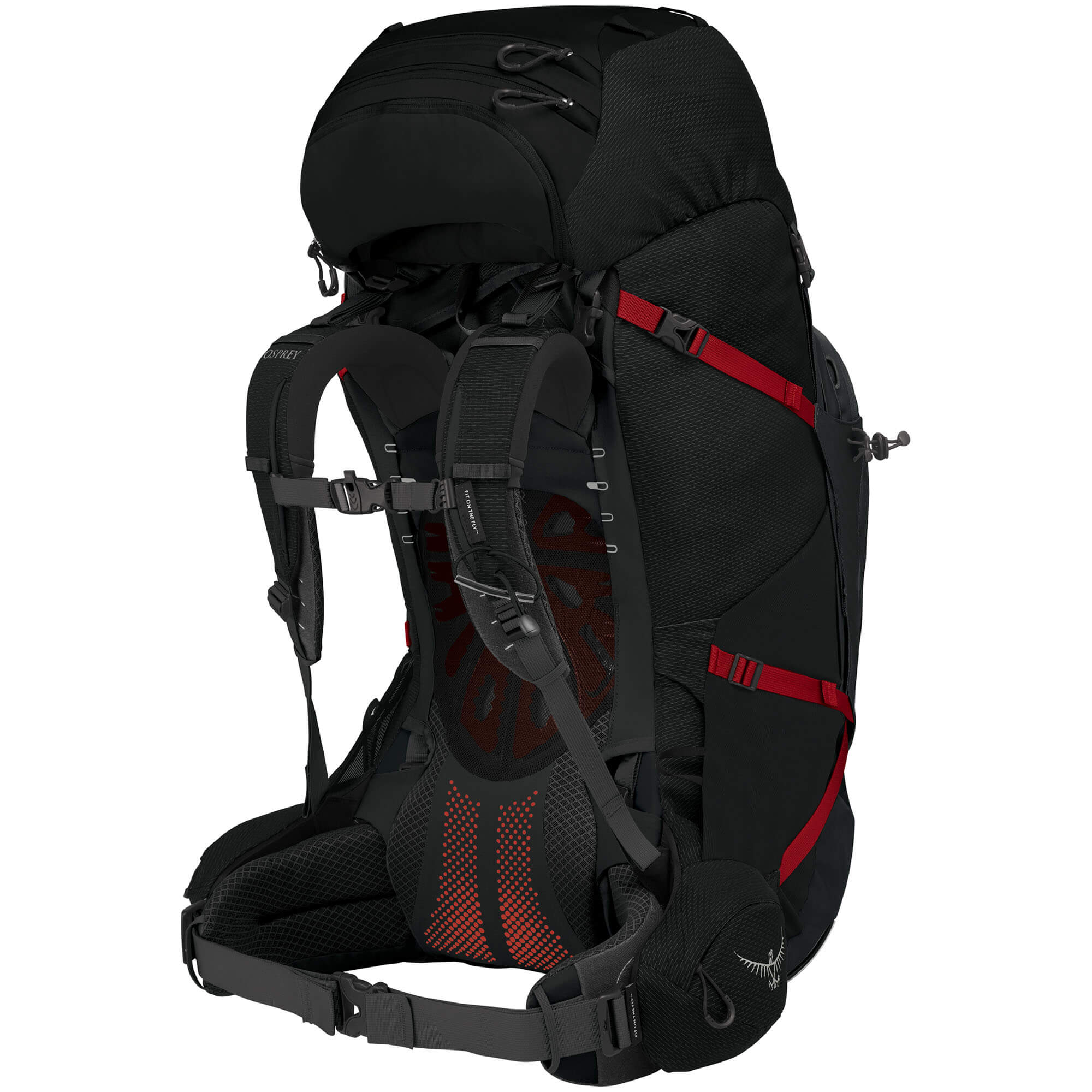 Osprey Aether Plus 85 Expedition Backpack