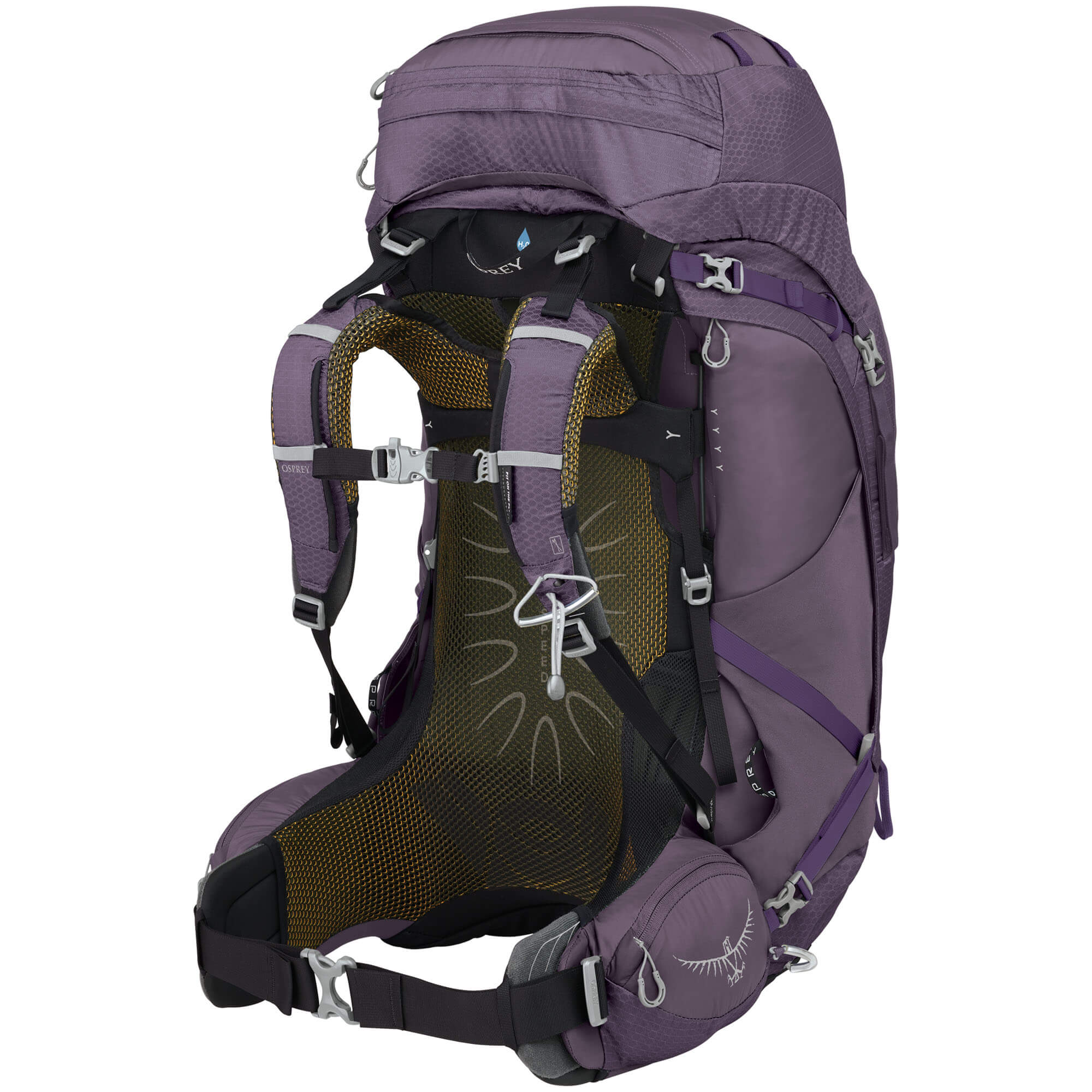 Osprey Aura AG 65 Women's Backpack