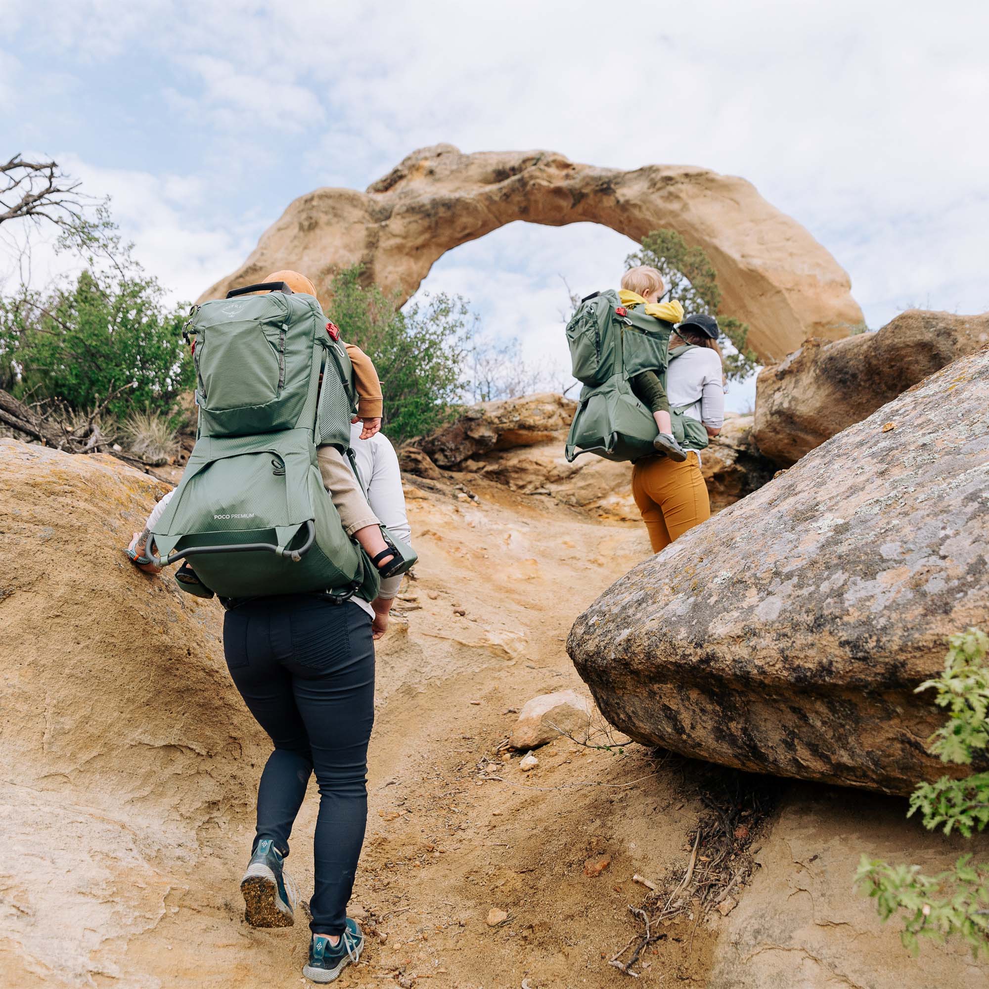 Osprey Poco Premium Child Carrier Backpack