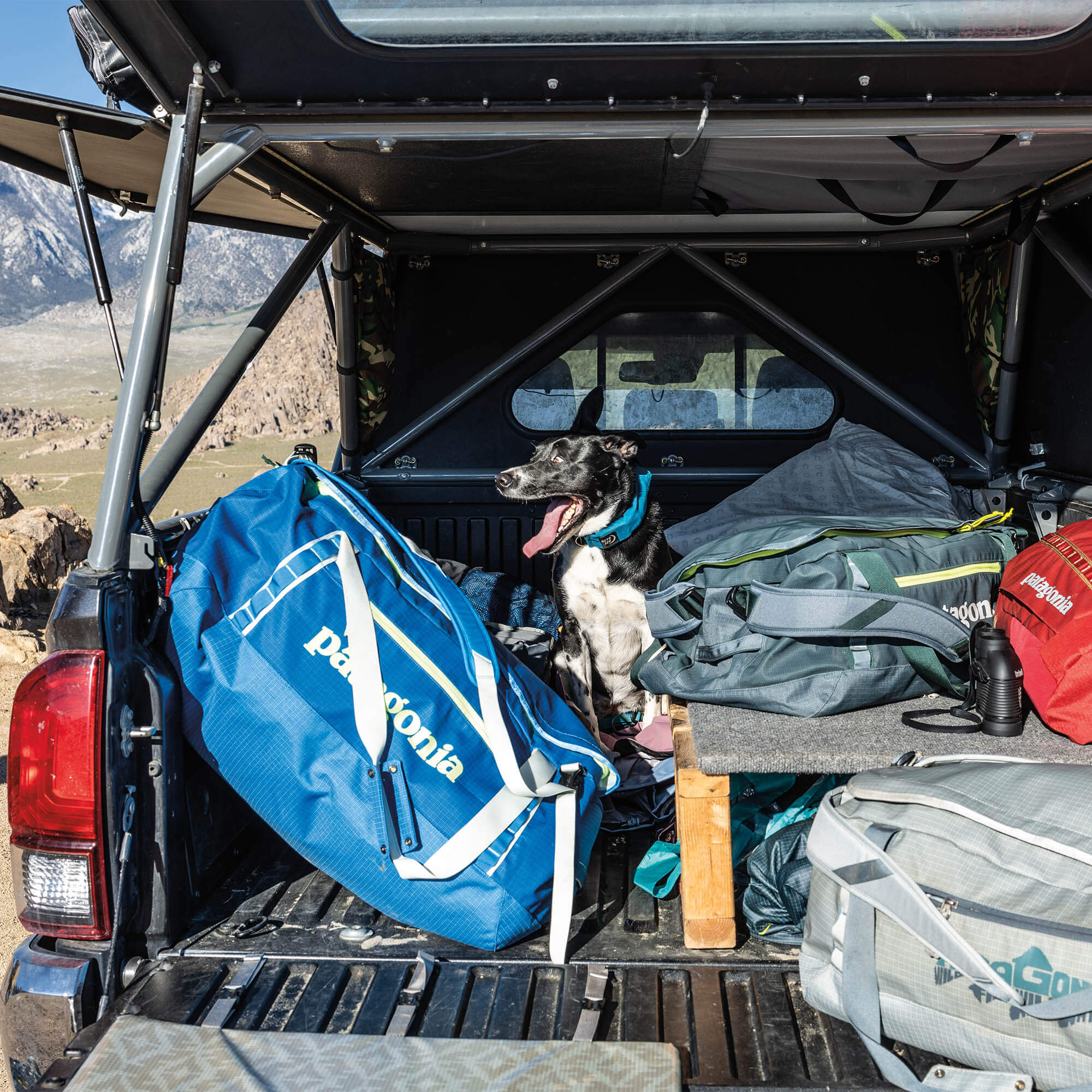 Patagonia Black Hole 55 Duffel Bag