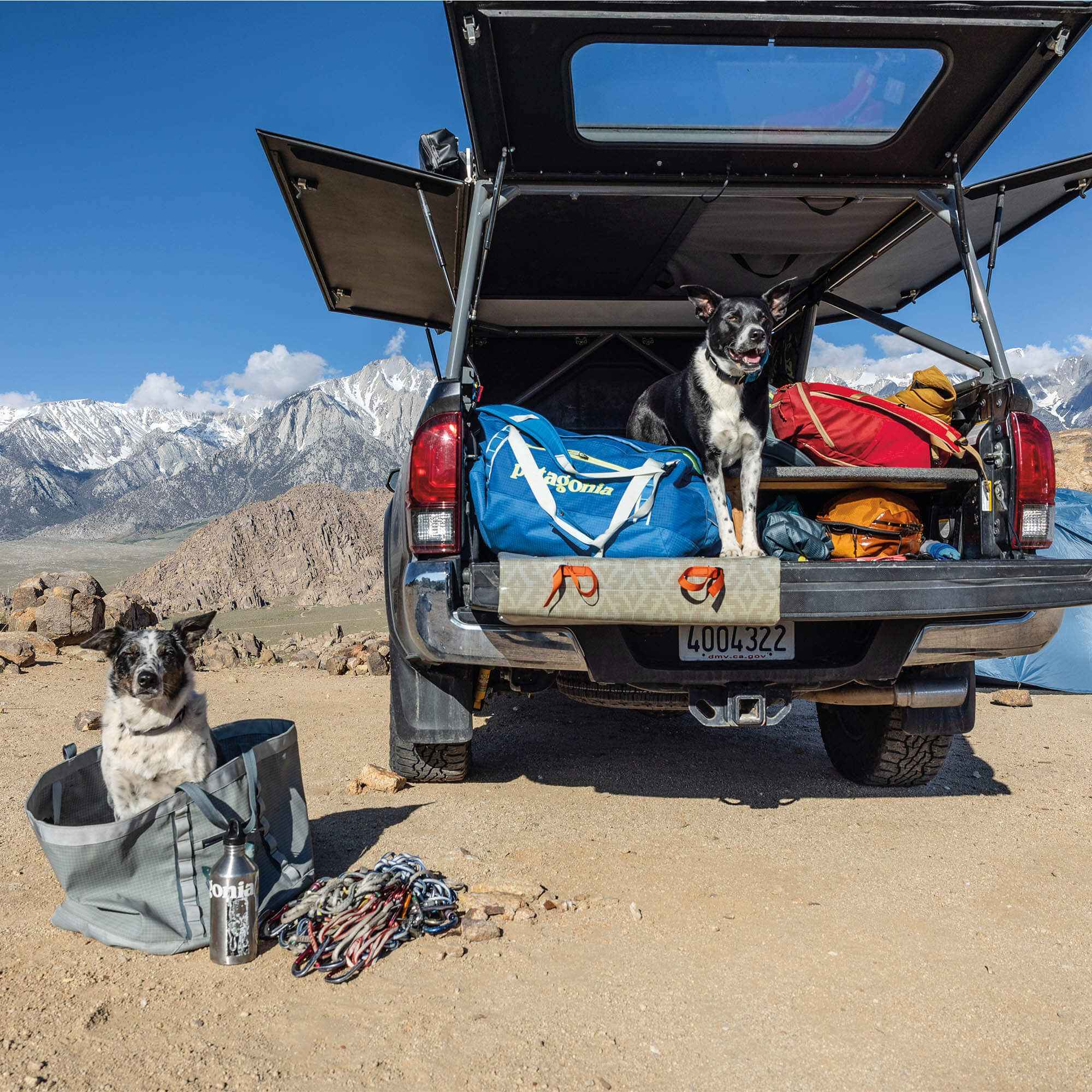 Patagonia Black Hole 55 Duffel Bag