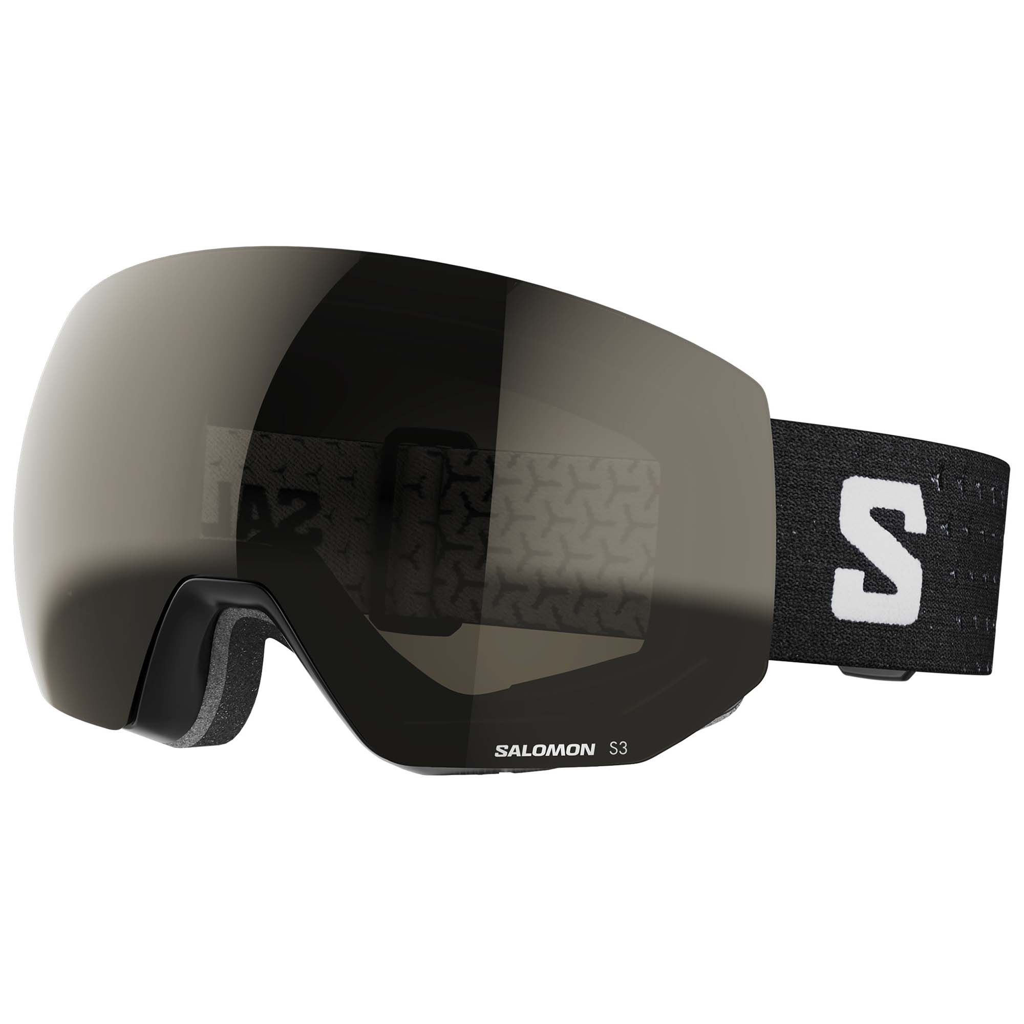 Salomon Radium Pro Eyewear | Absolute-Snow
