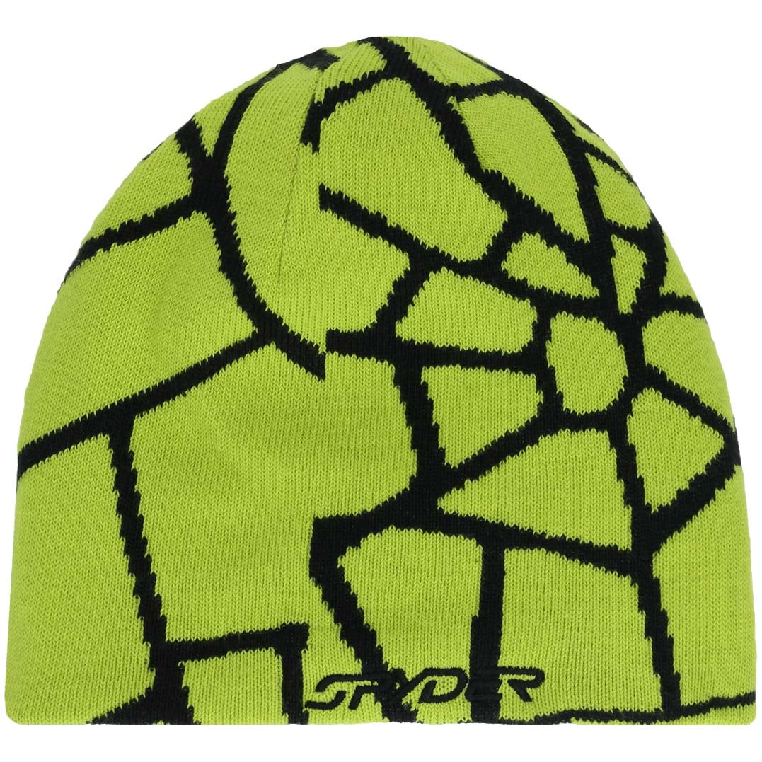 Spyder Reversible Web Unisex Ski Beanie