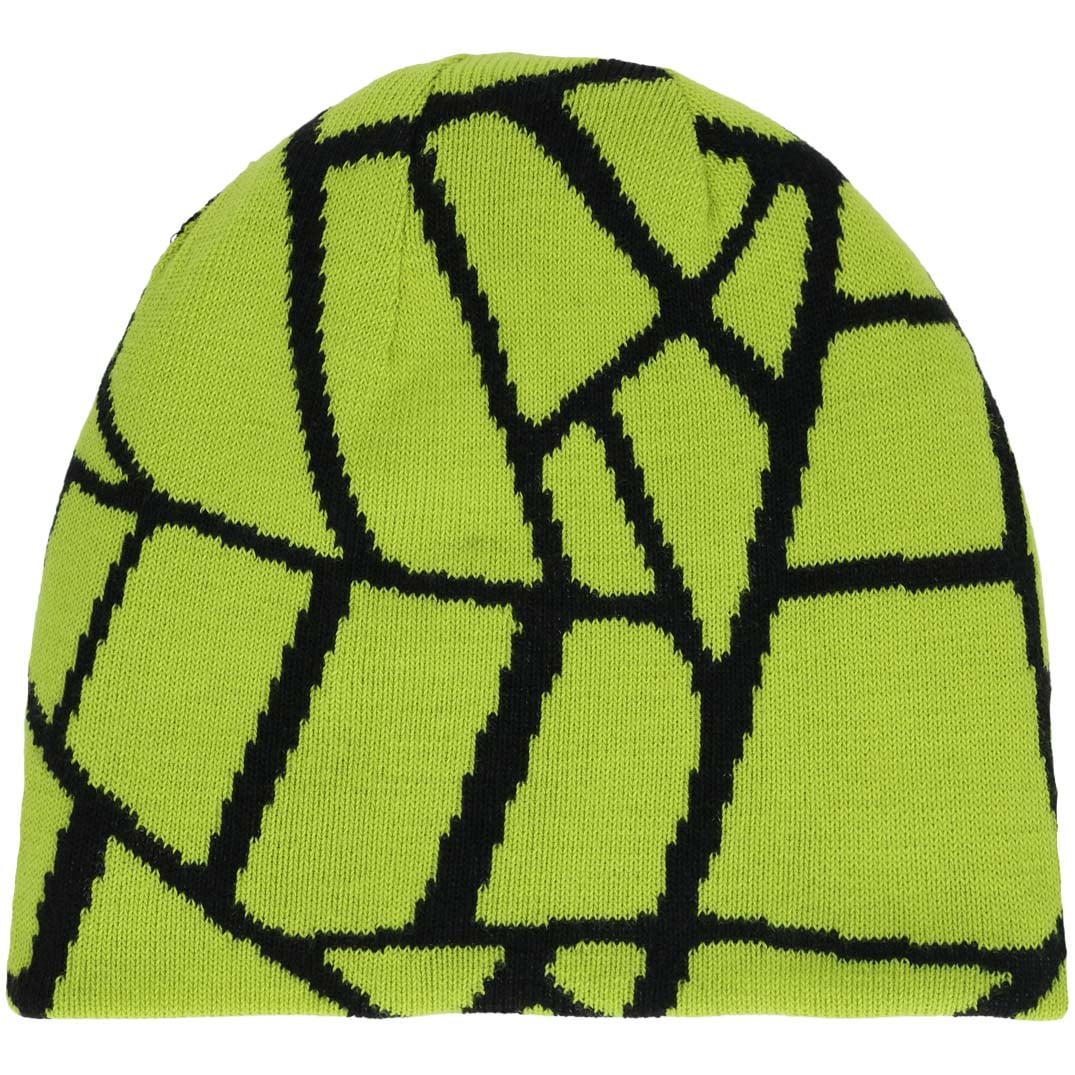 Spyder Reversible Web Unisex Ski Beanie